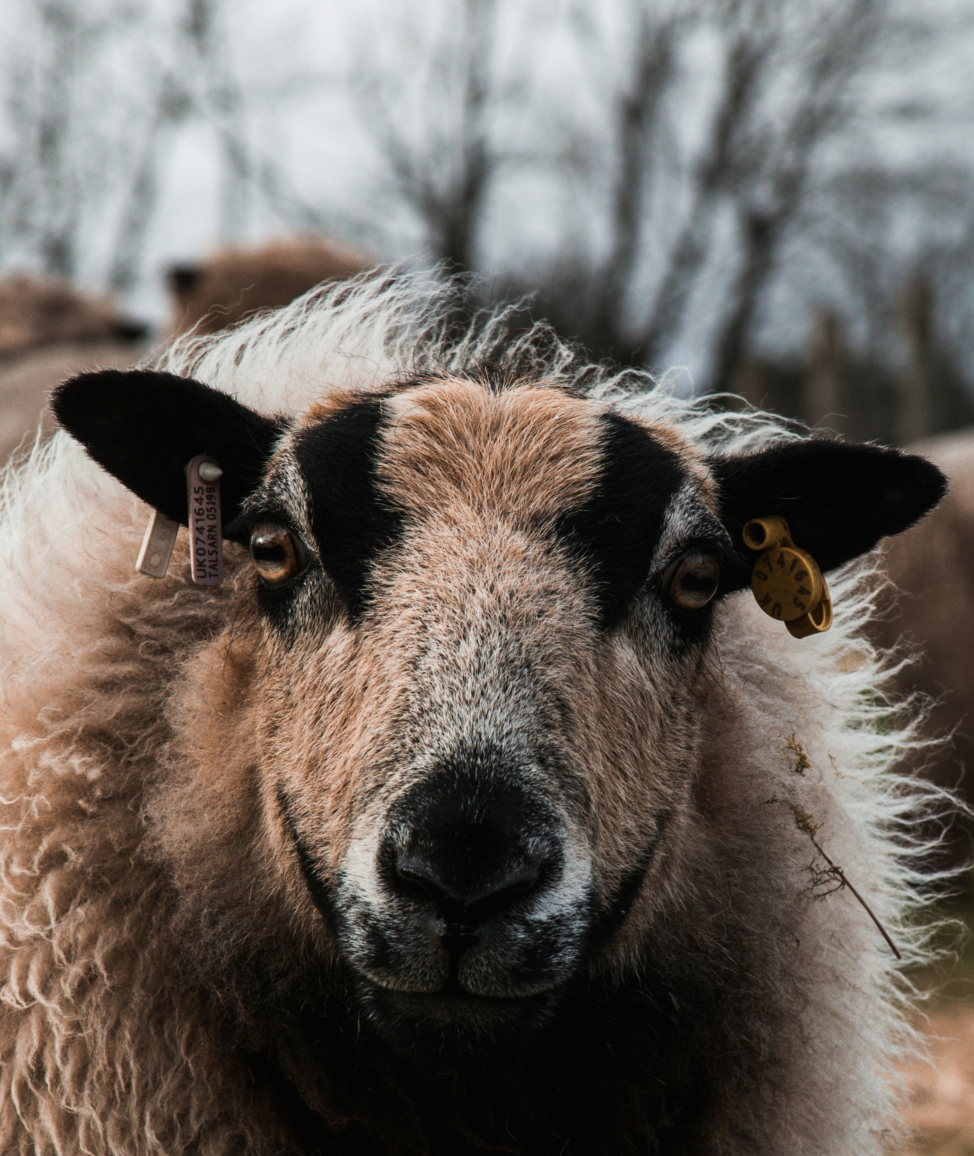 Photo by simoncheung207