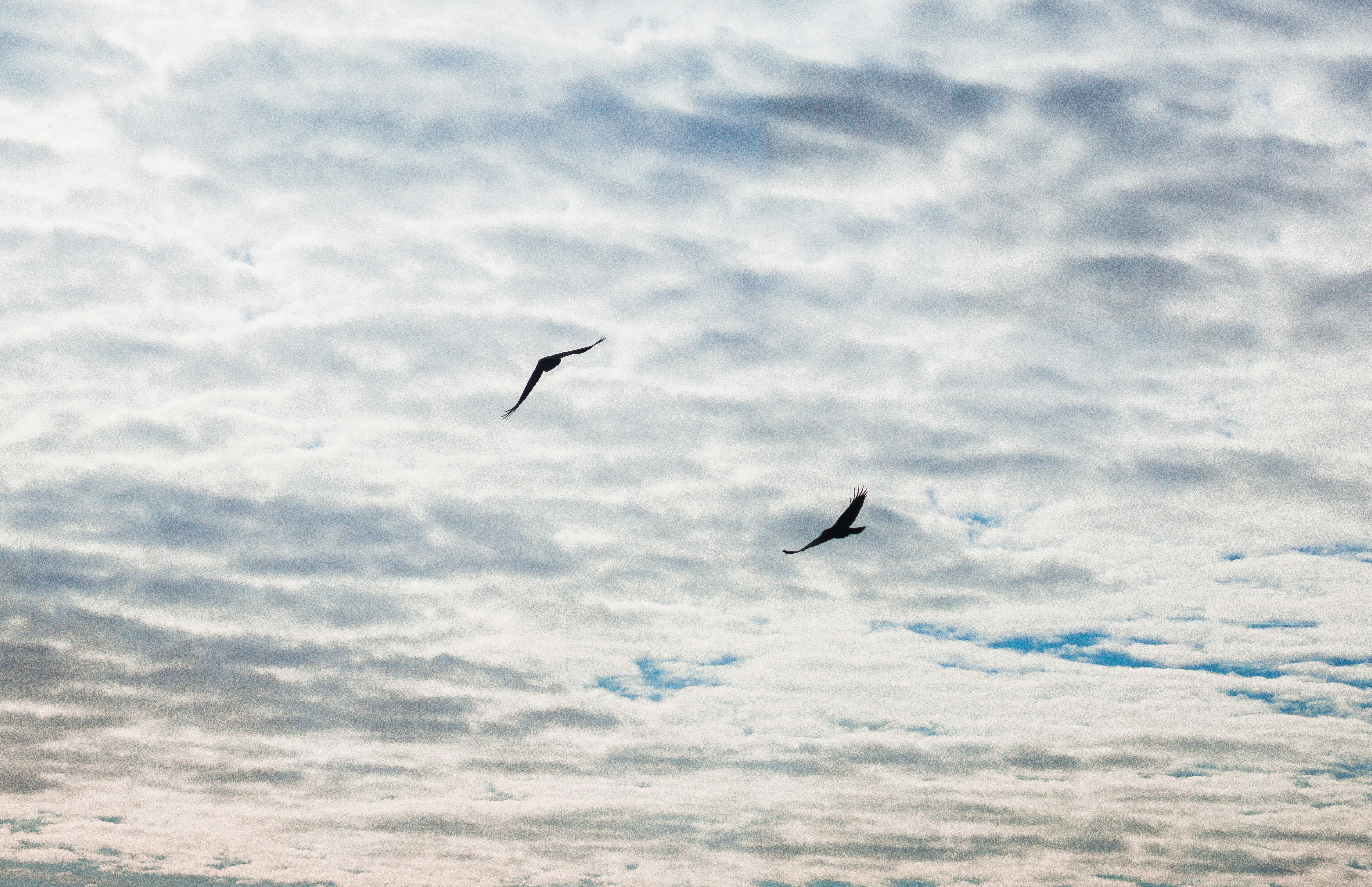 Photo by simoncheung207