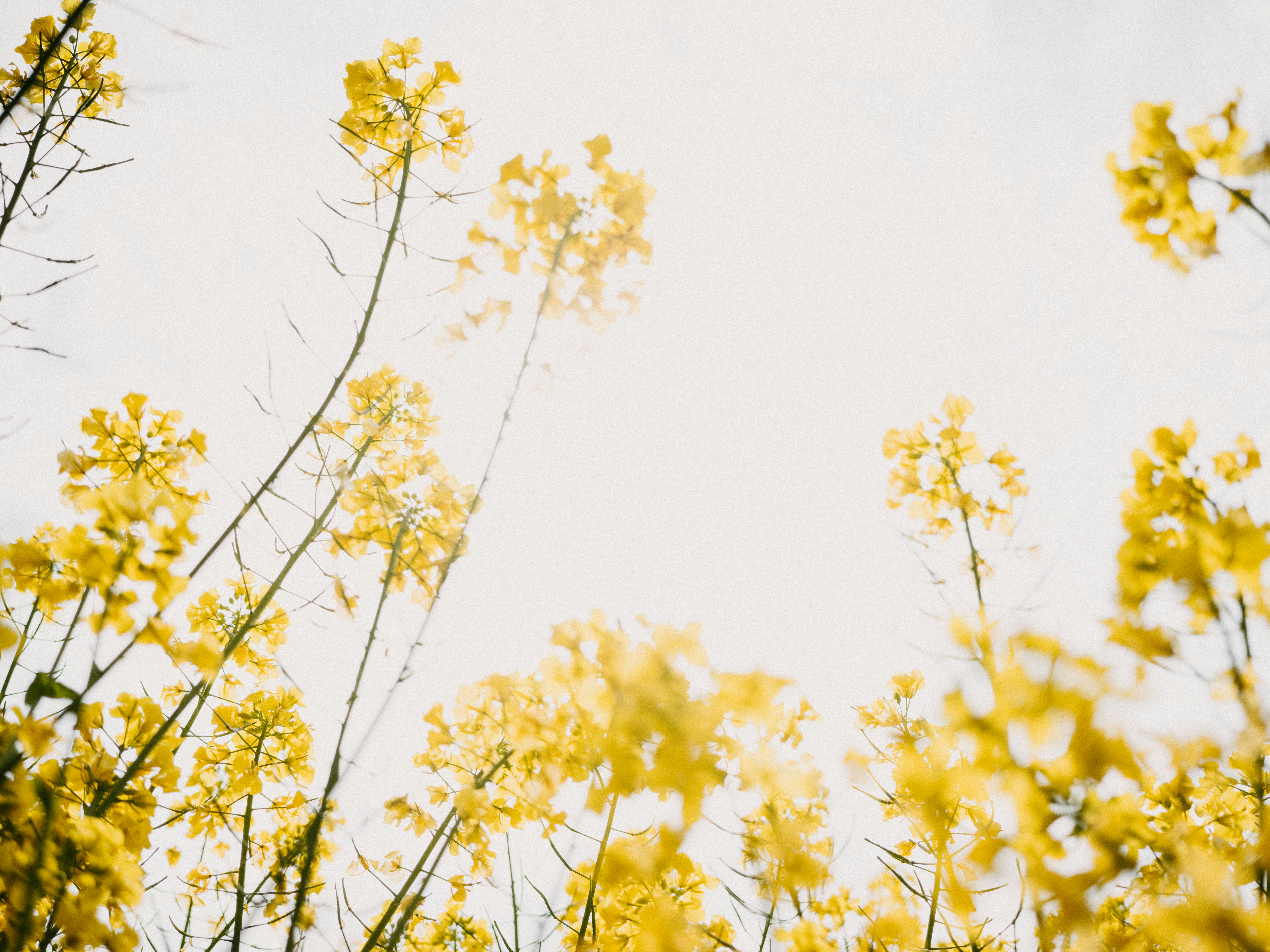 Photo by anniespratt