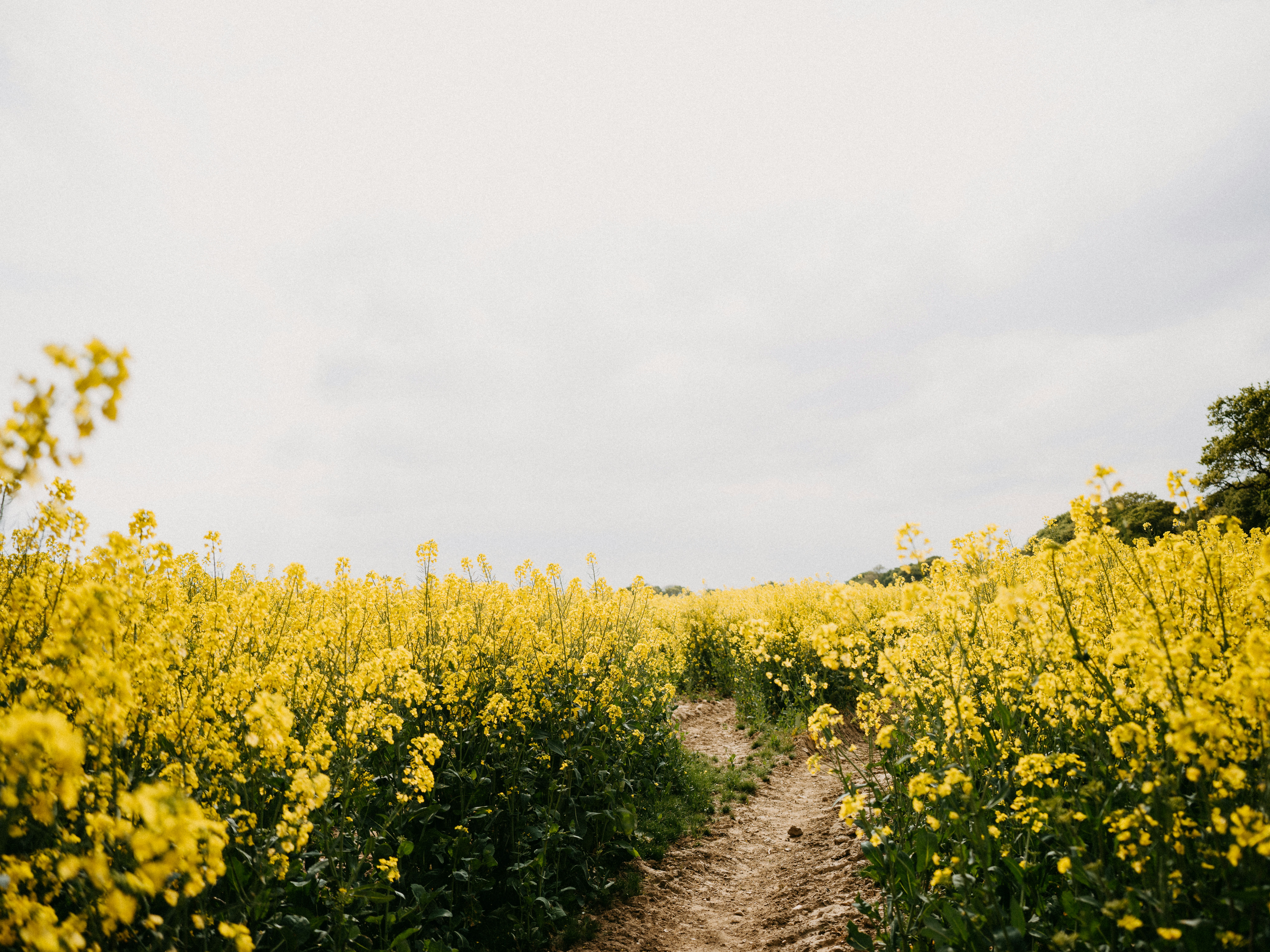 Photo by anniespratt