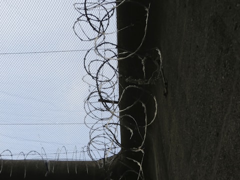 A close-up view of barbed wire spirals mounted on top of a chain-link fence, set against a clear sky. The scene conveys a sense of confinement or security, with strong geometric patterns and contrasts between the metal and sky.
