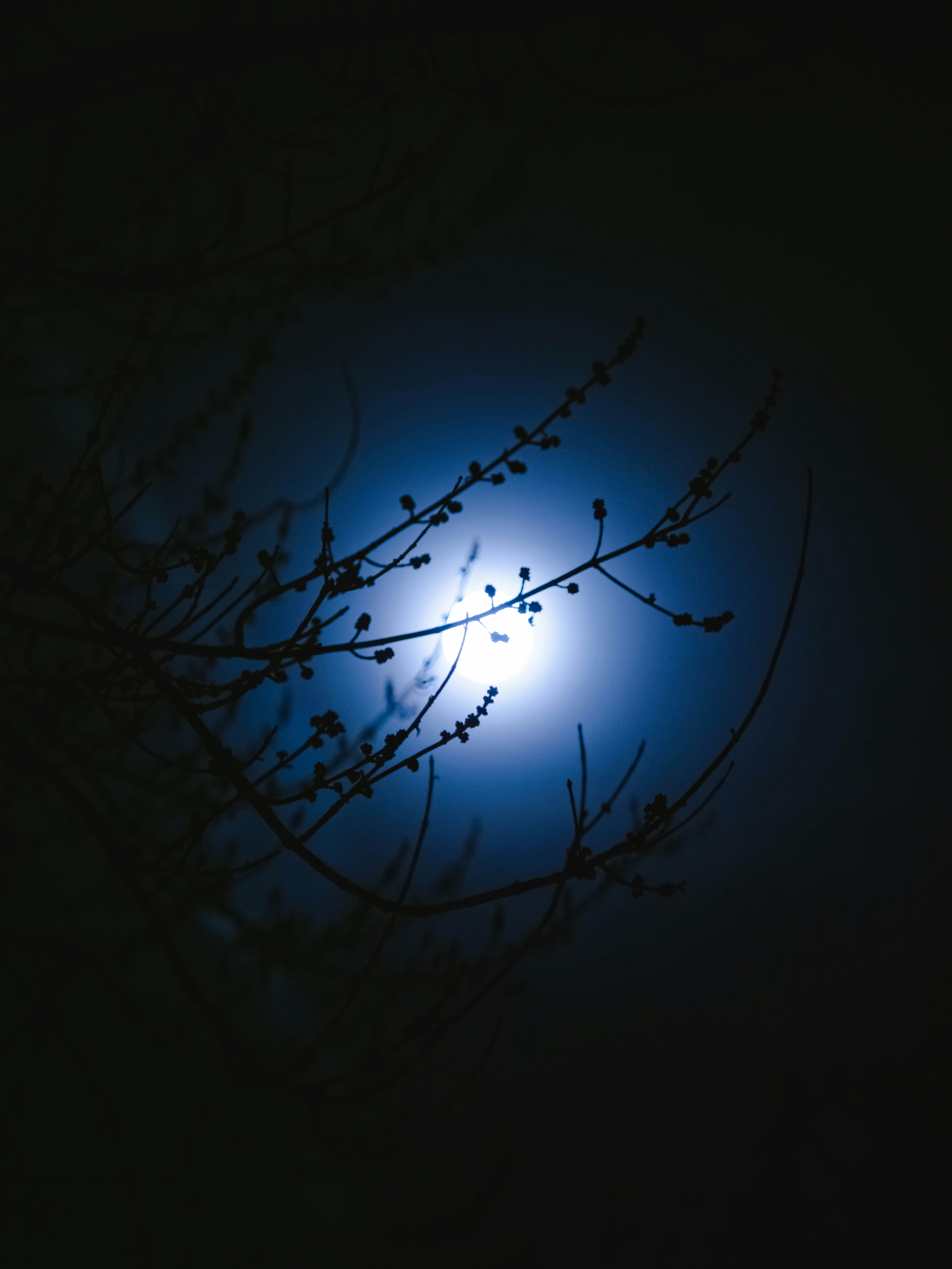 Photo by joshuafernandez