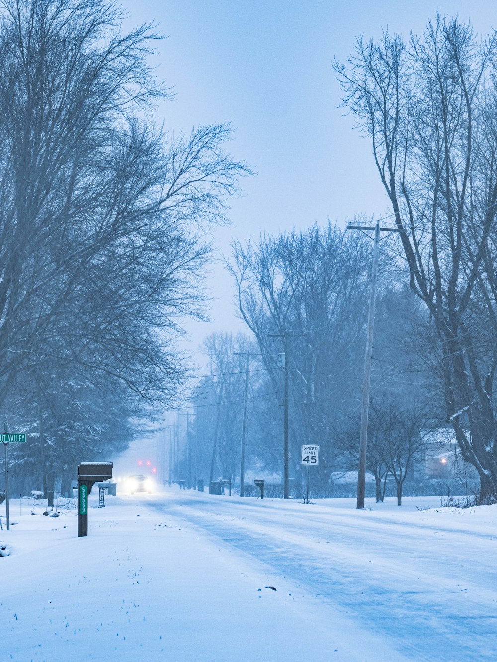 a snowy road with trees on either side of it