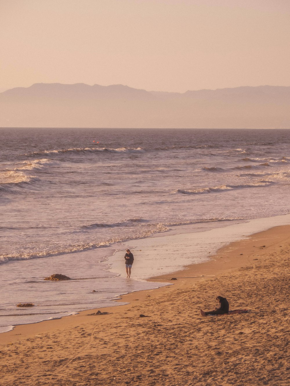 a group of people on a beach