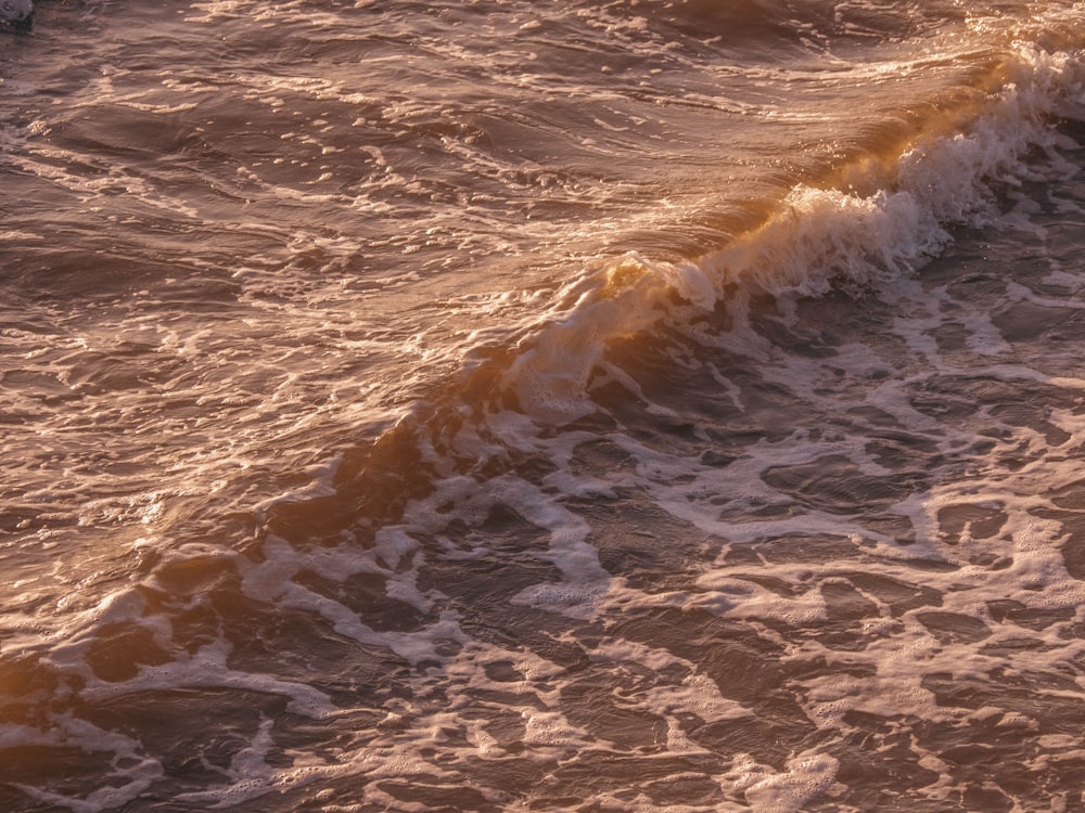 a body of water with waves