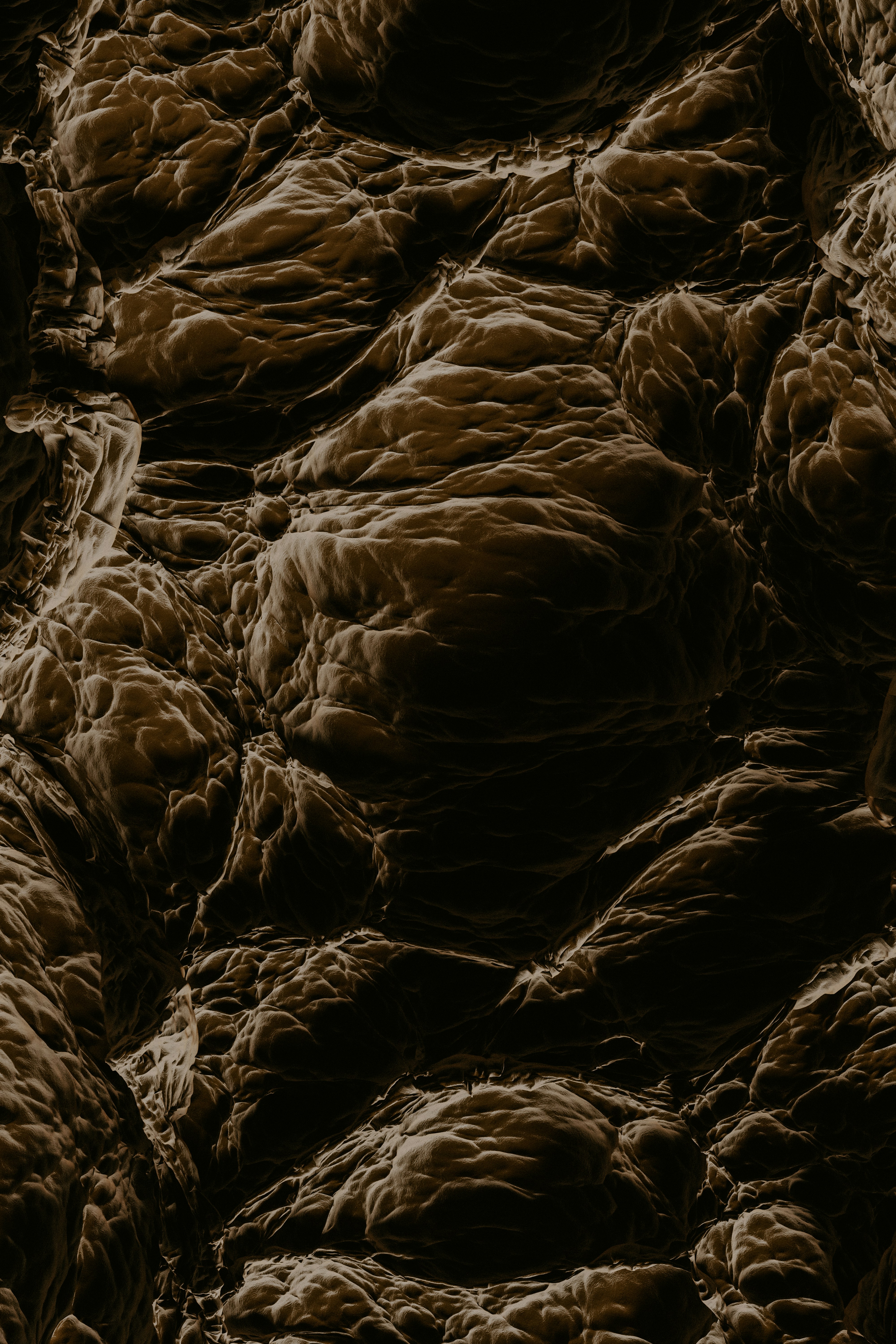 3D render (Blender 3.1)