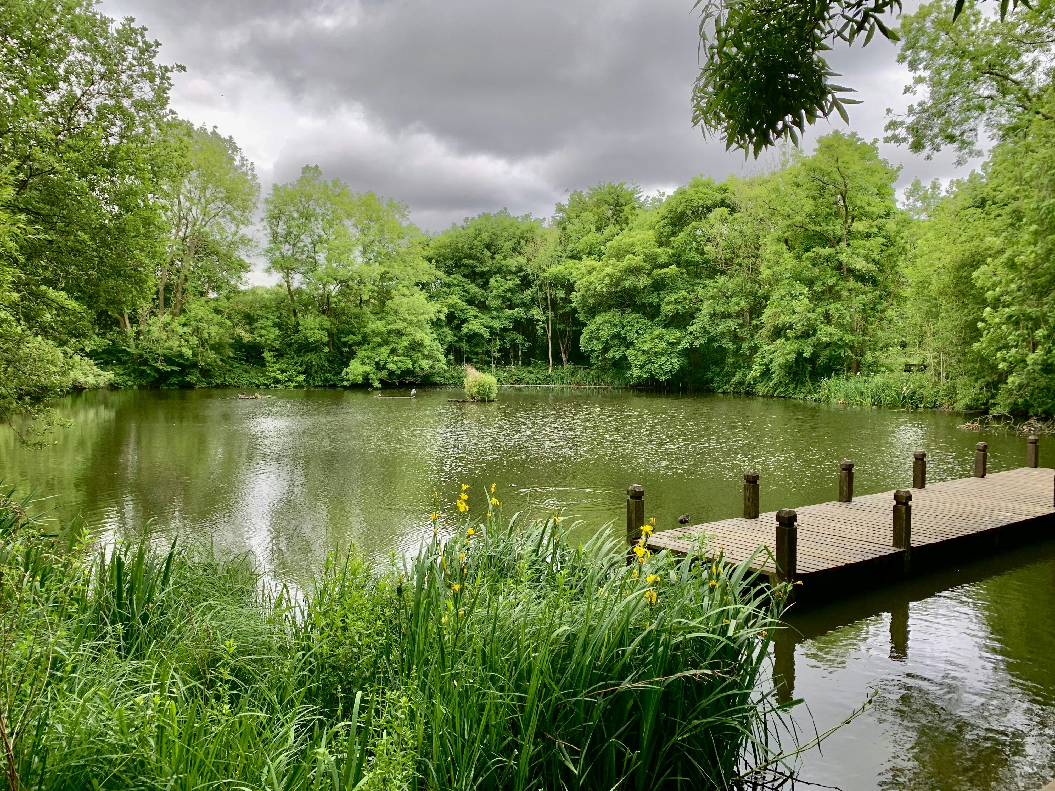 A dock in a lake photo Free Reddish vale road Image on Unsplash