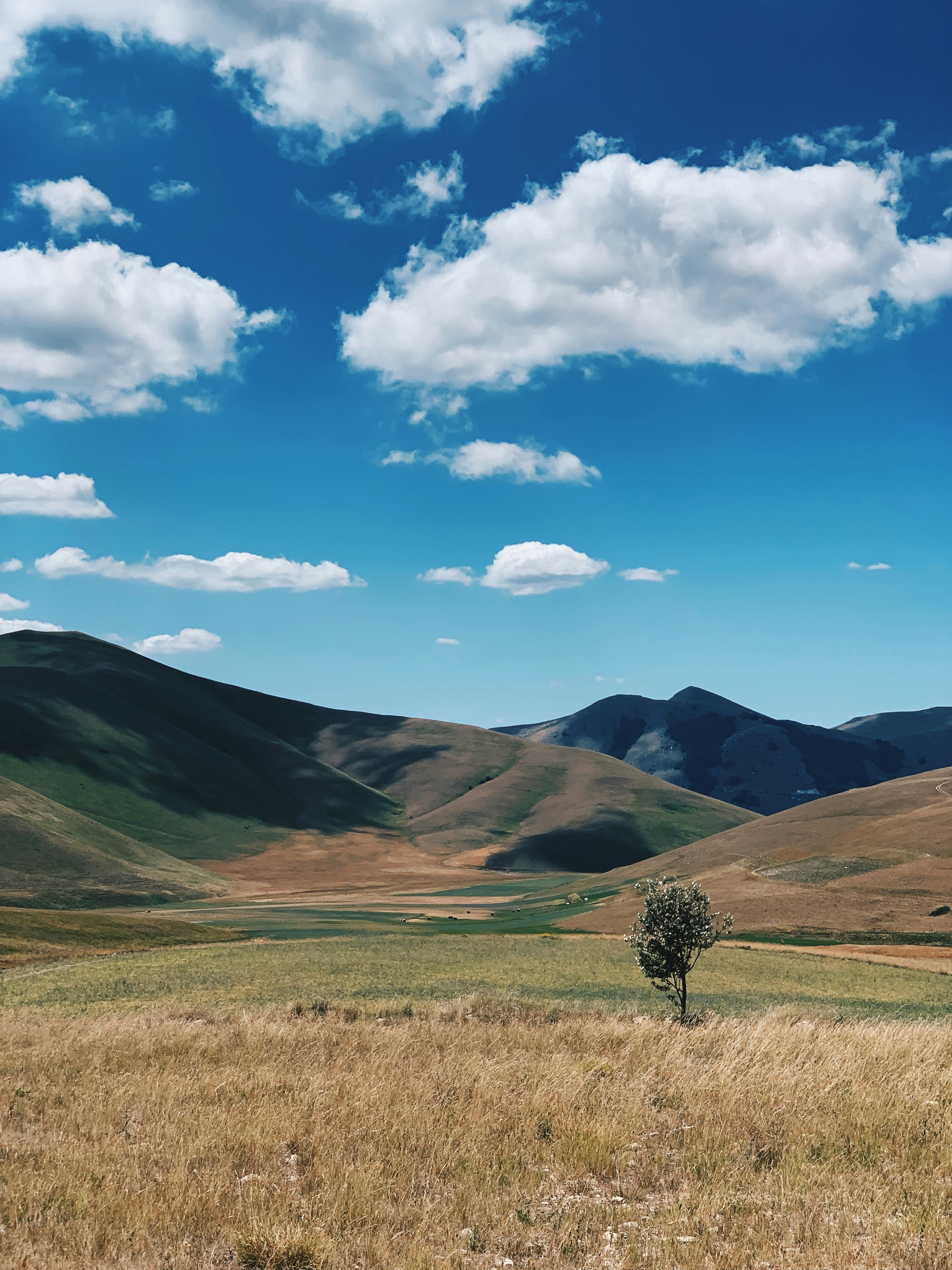 Photo by federicogiampieri