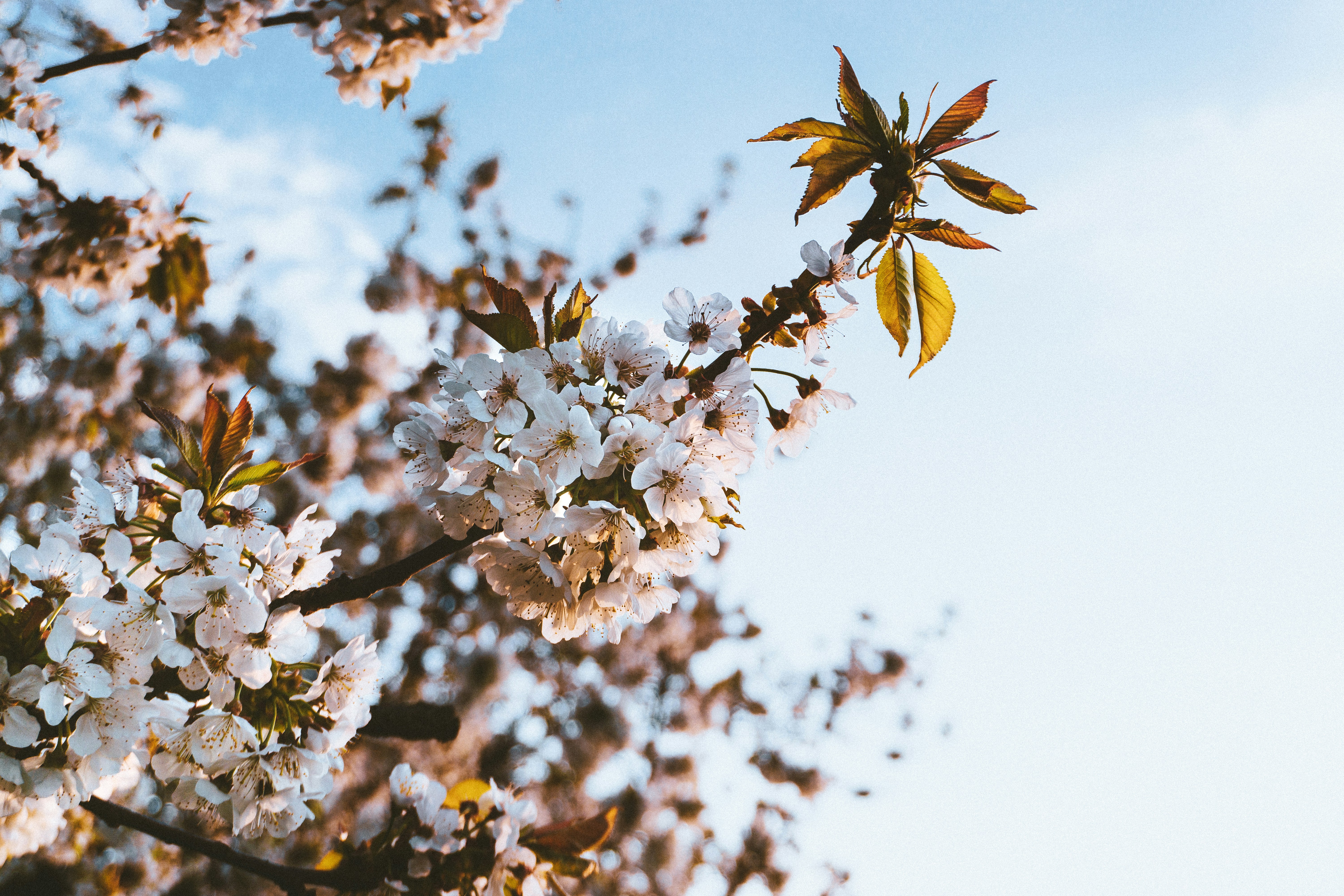 Photo by sindy_suessengut