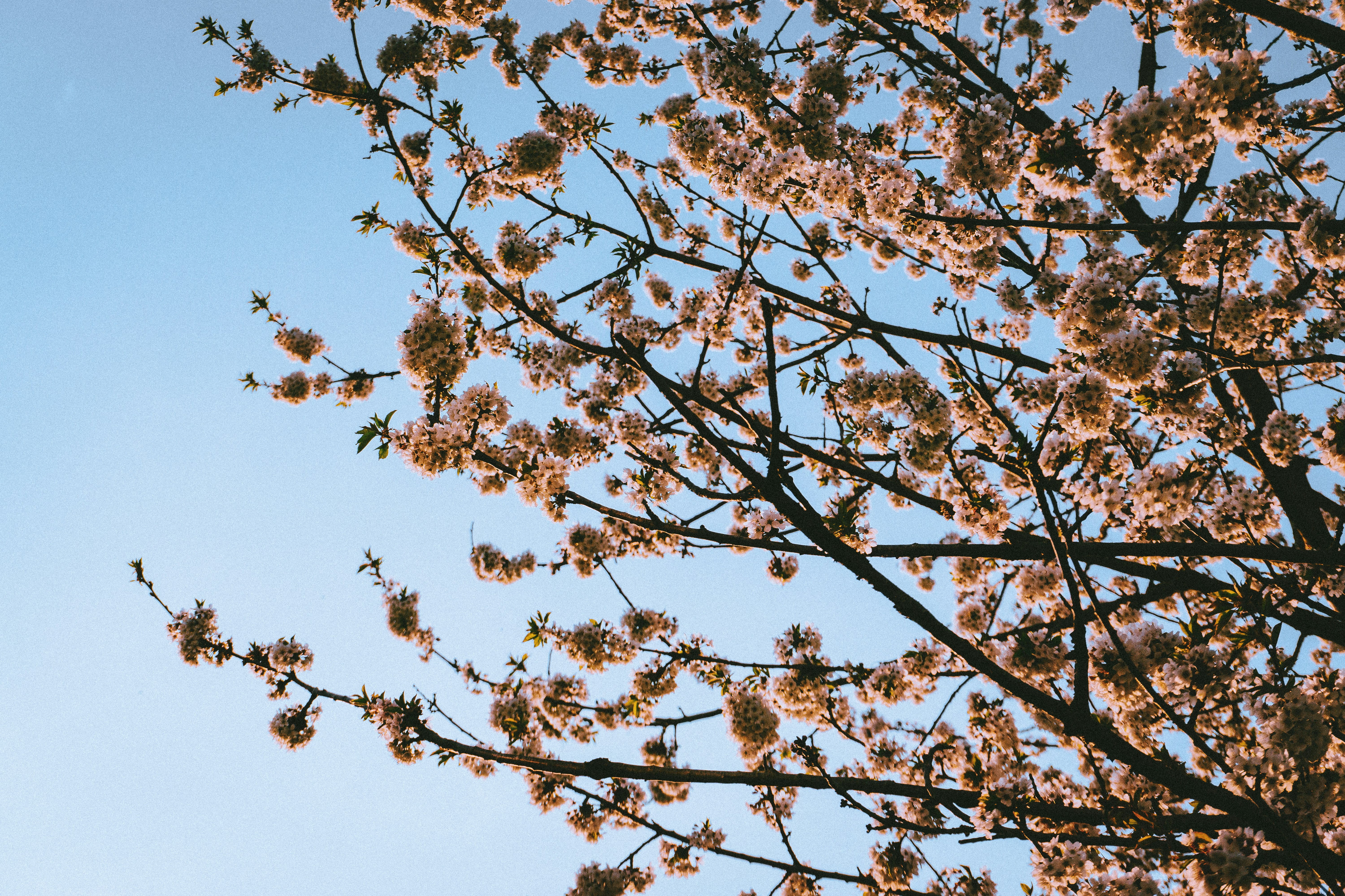 Photo by sindy_suessengut