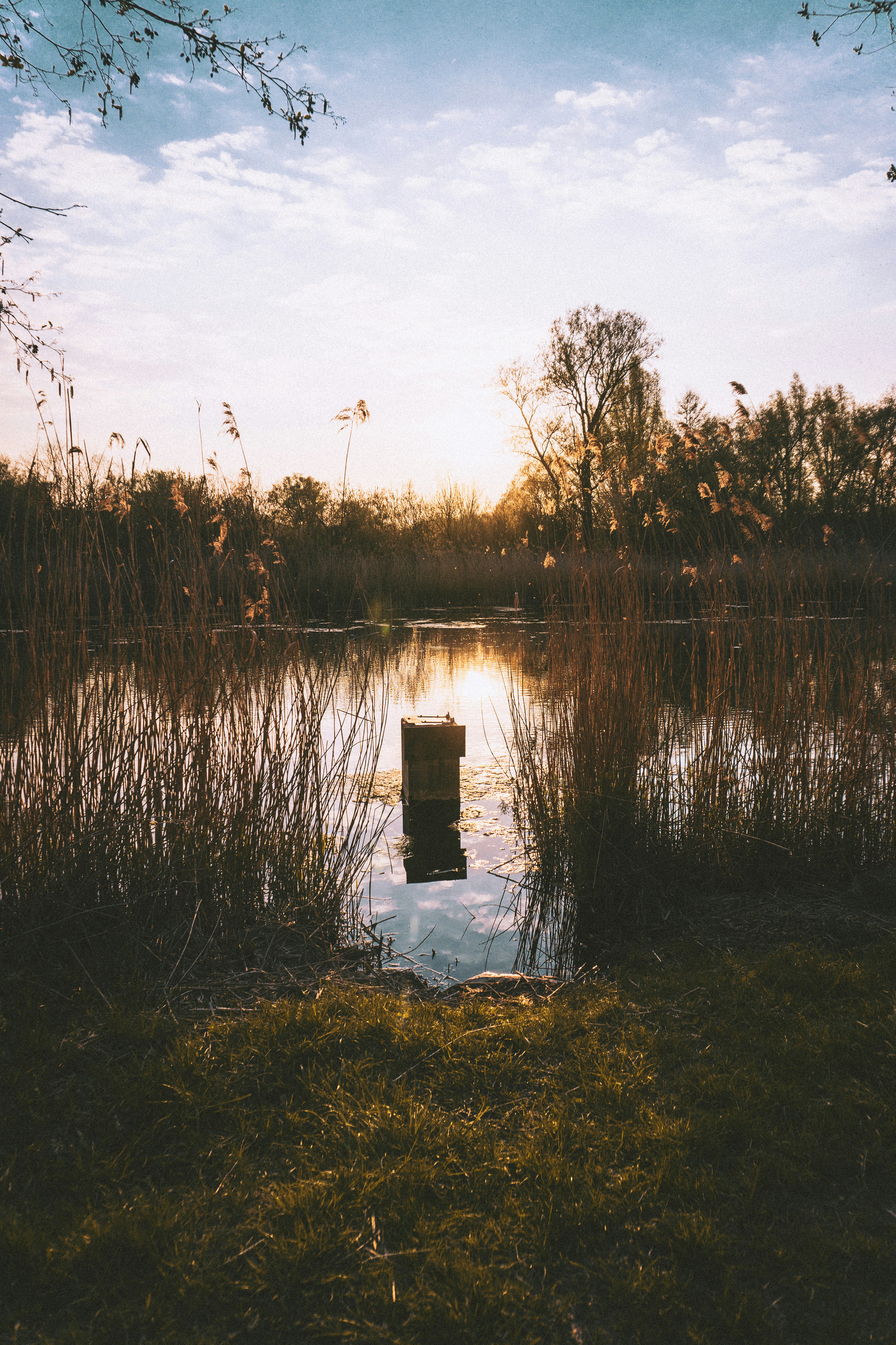 Photo by sindy_suessengut