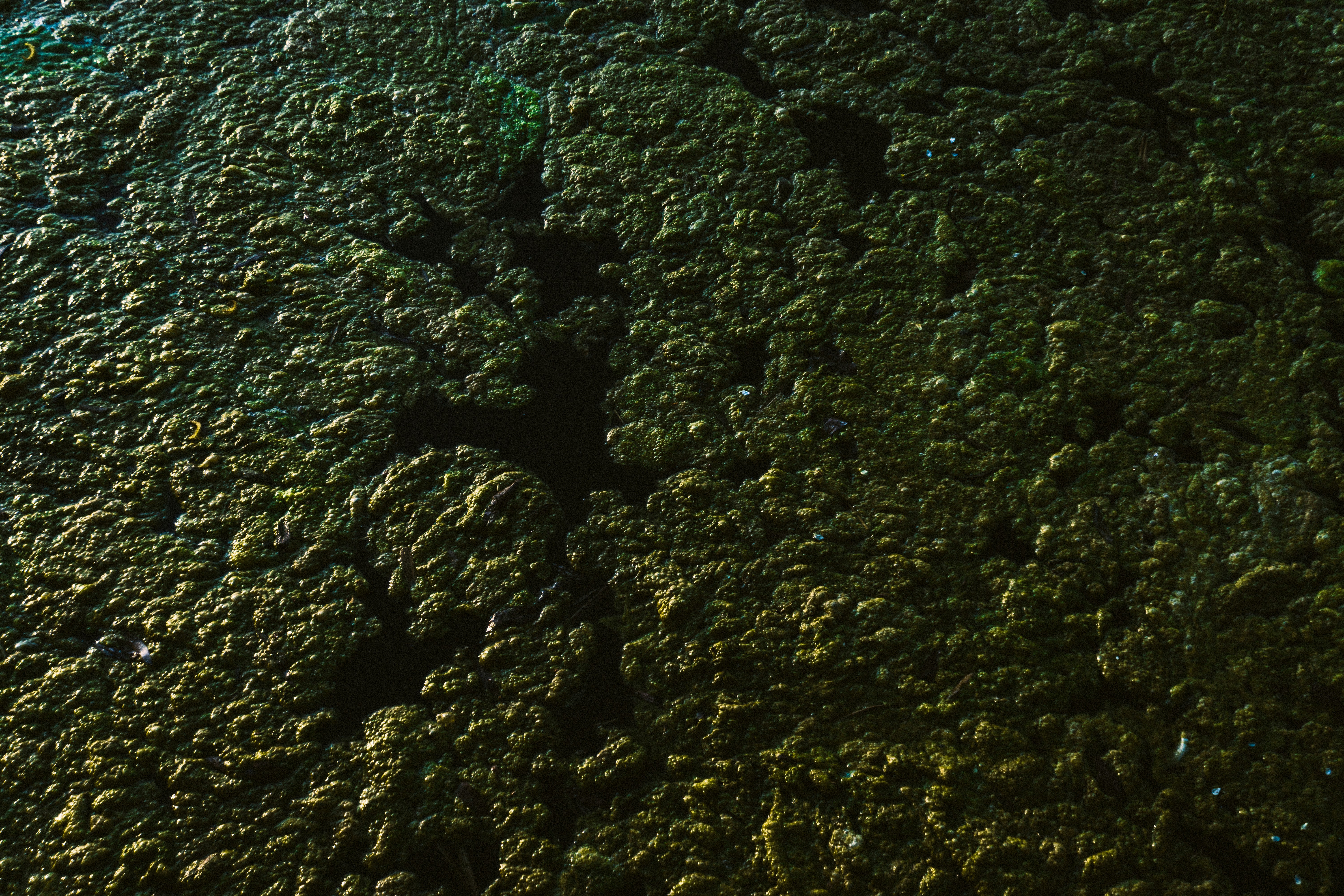 Photo by sindy_suessengut