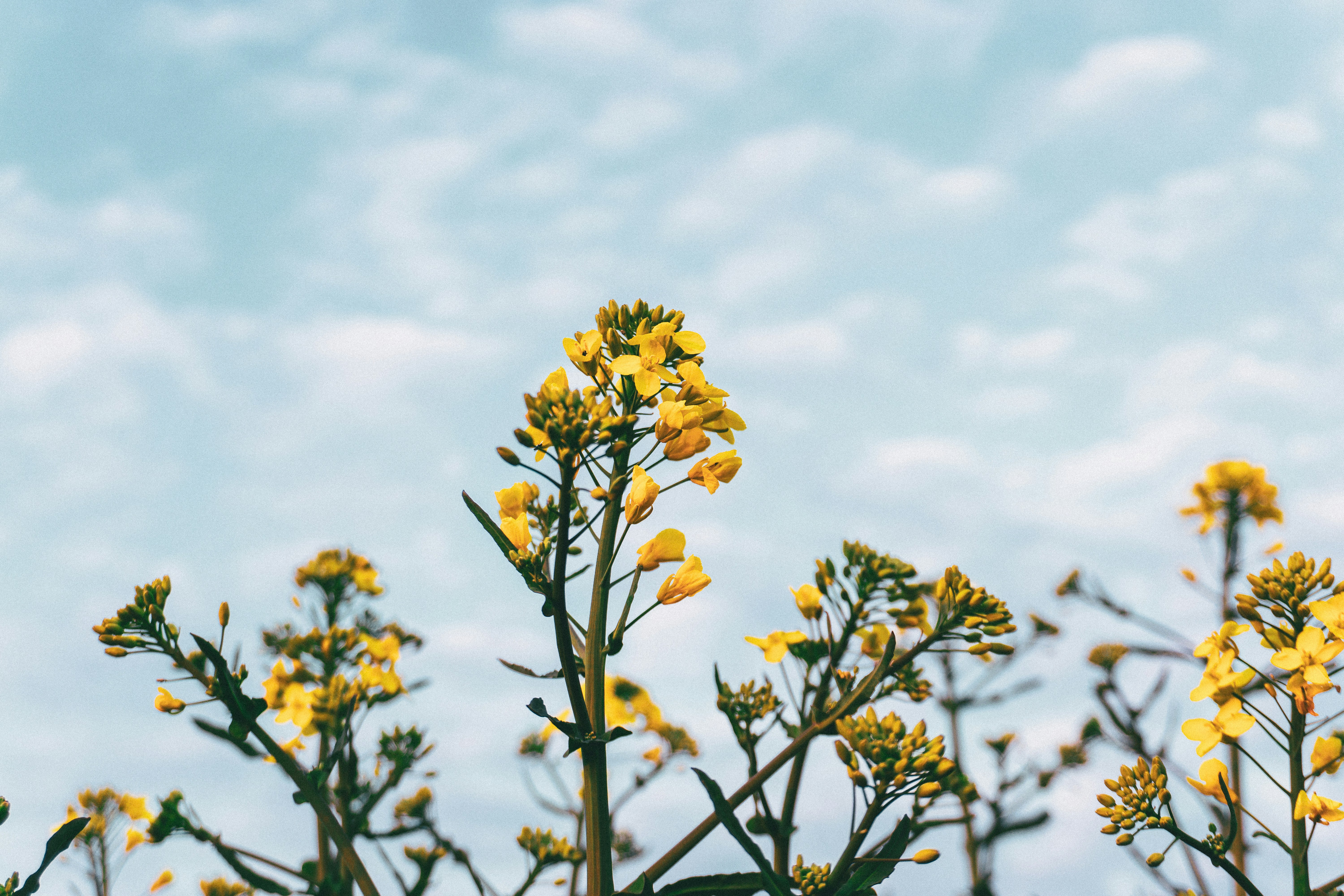 Photo by sindy_suessengut