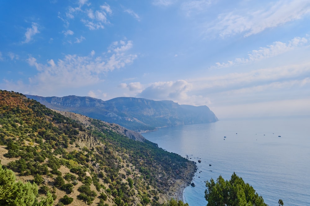 a body of water with hills and trees around it