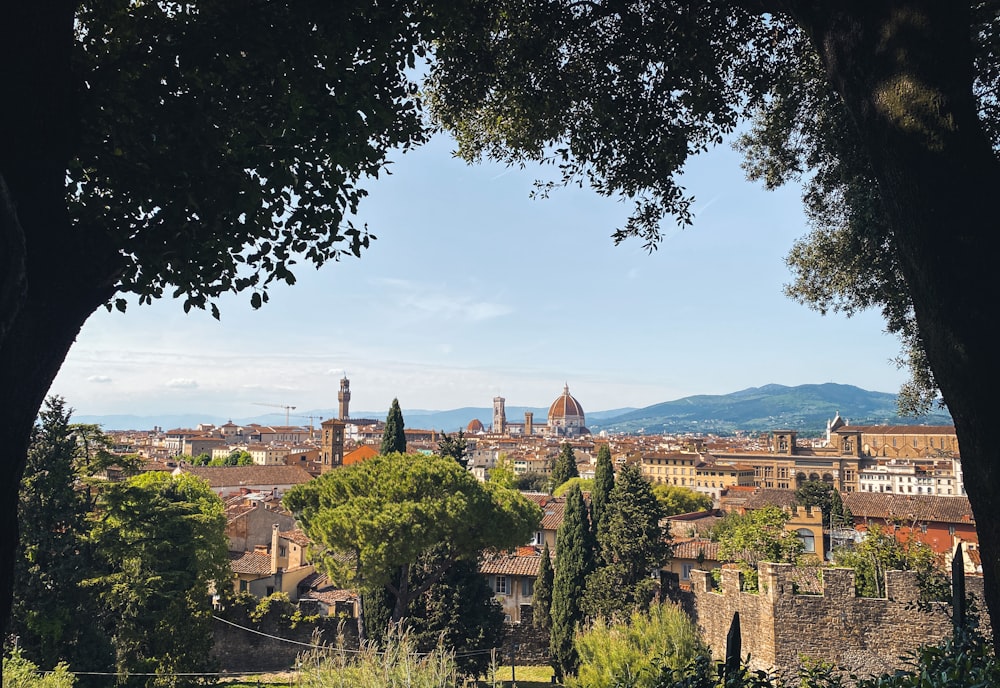 a city with trees and mountains in the background