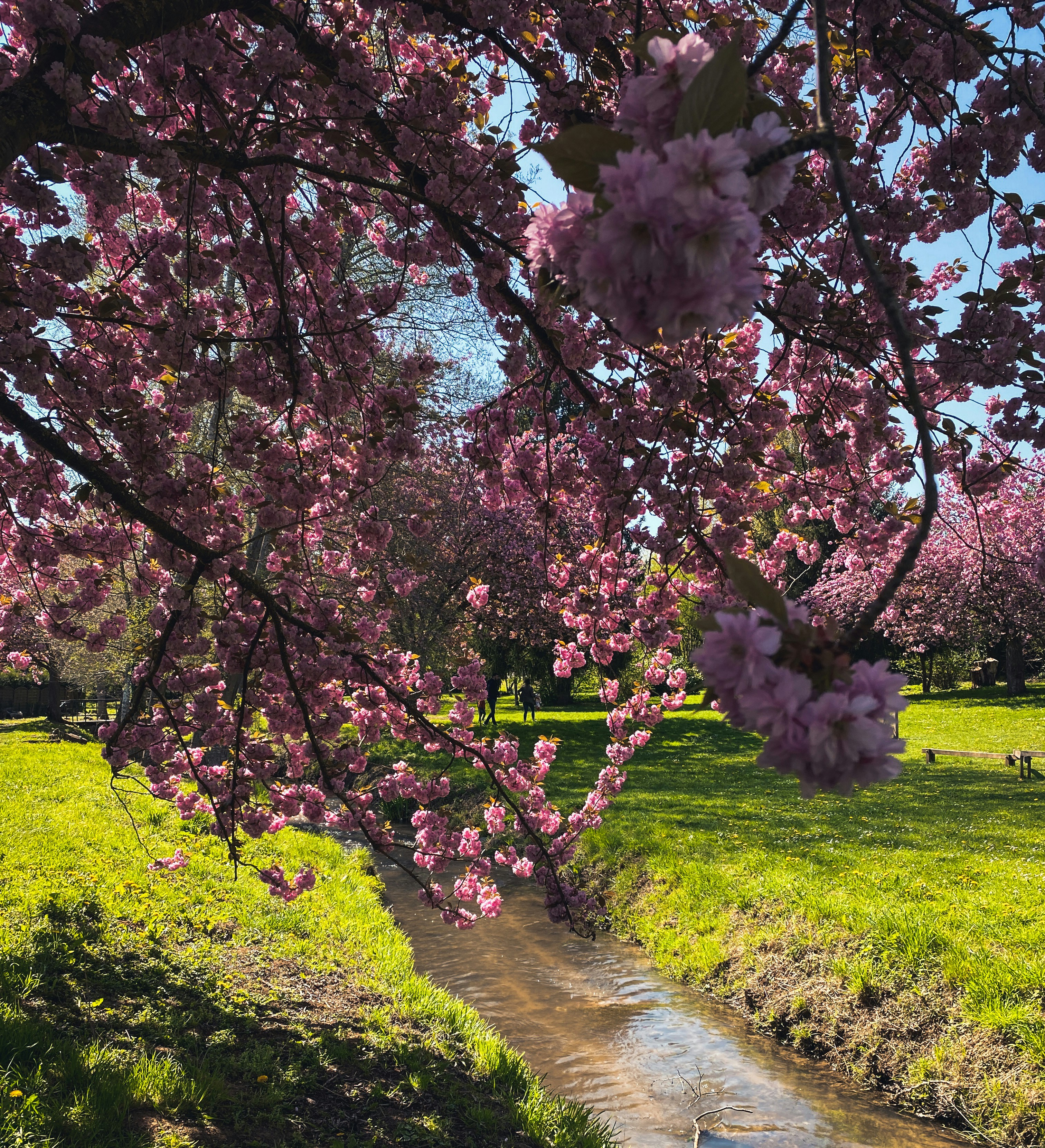 Looking for a Park with Mini-Golf and a Huge Kids' Playground? post image