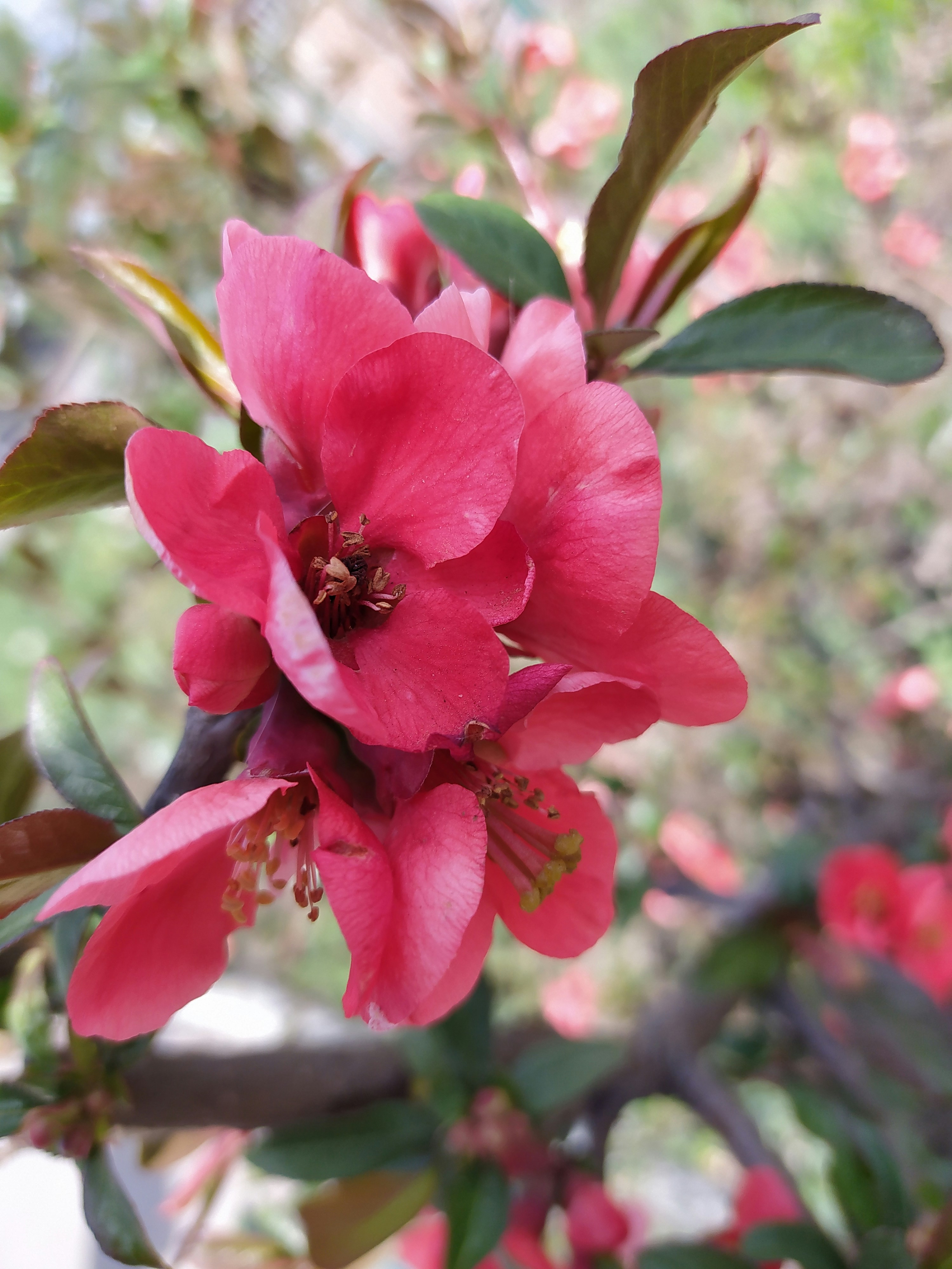 Photo by helen_zahrai