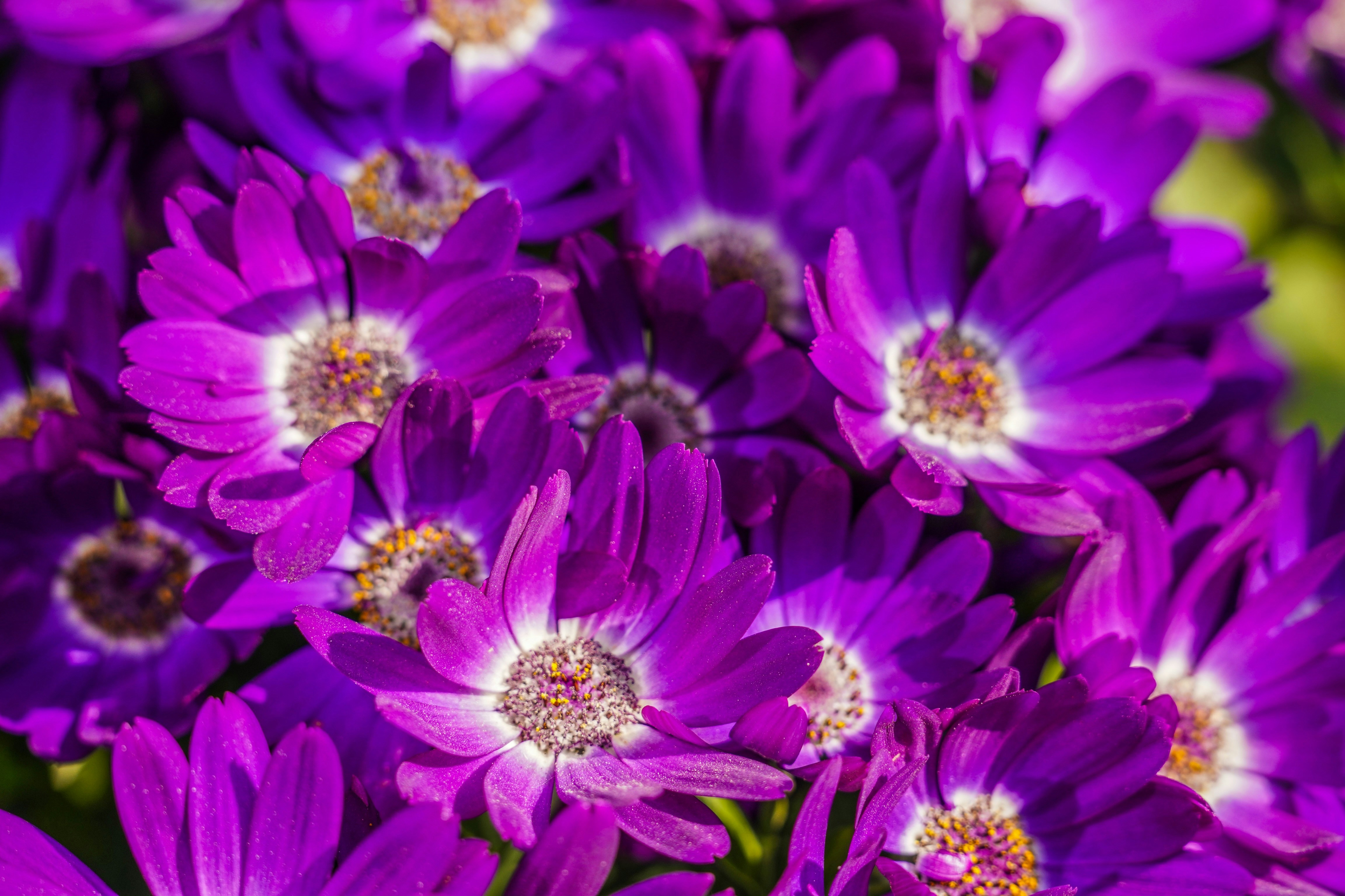 Photo by hooverpaul55