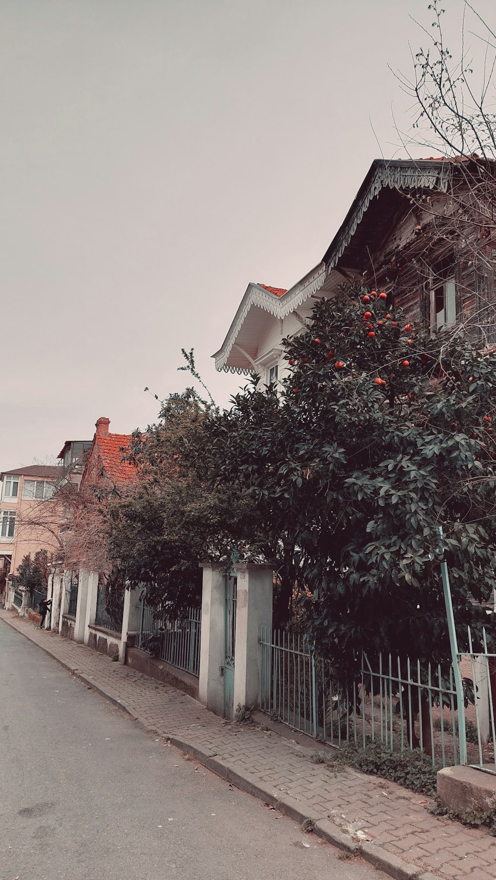 a street with trees and buildings on the side