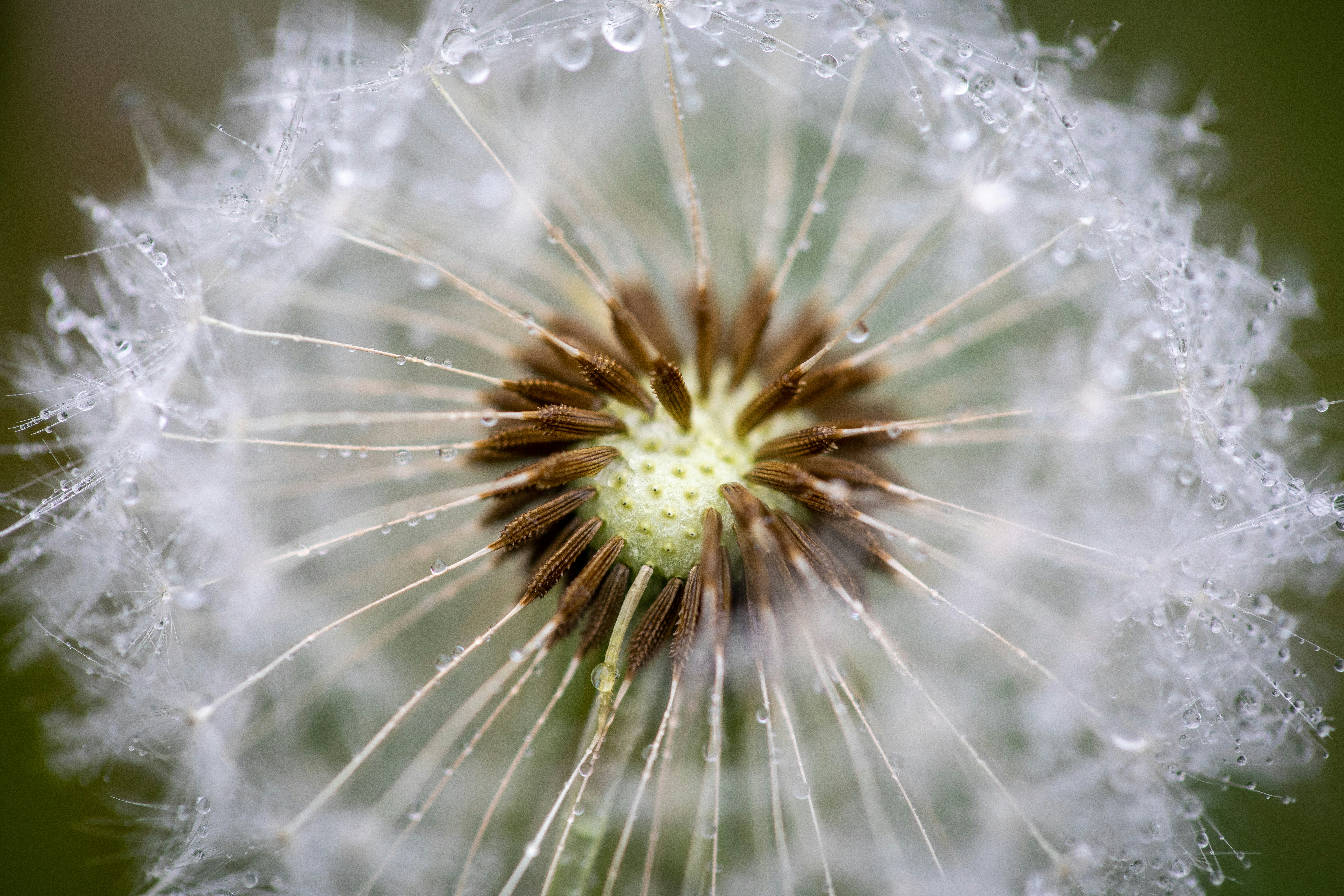 Photo by ovidiugruescu