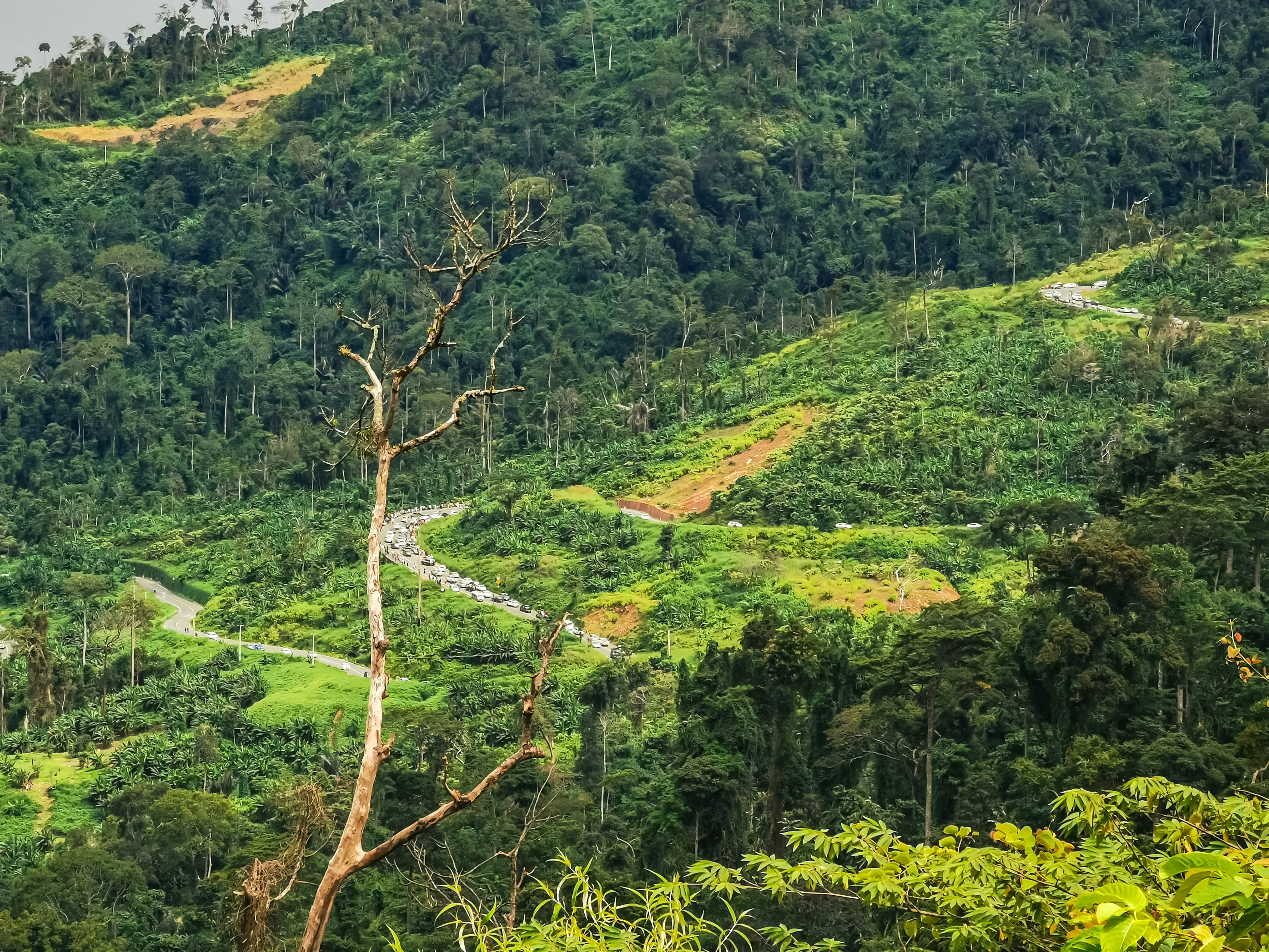 Photo by thoeunratana