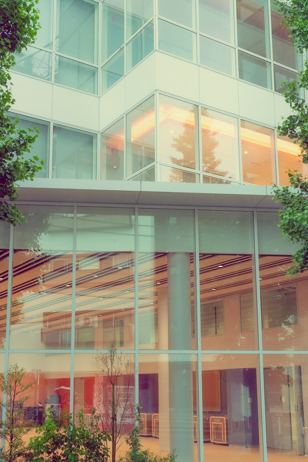 a building with glass windows