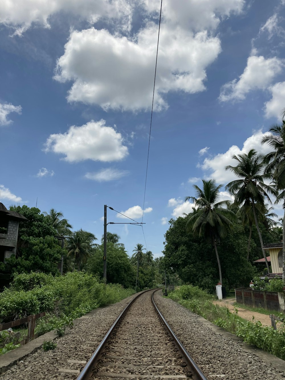 train tracks with trees and power lines