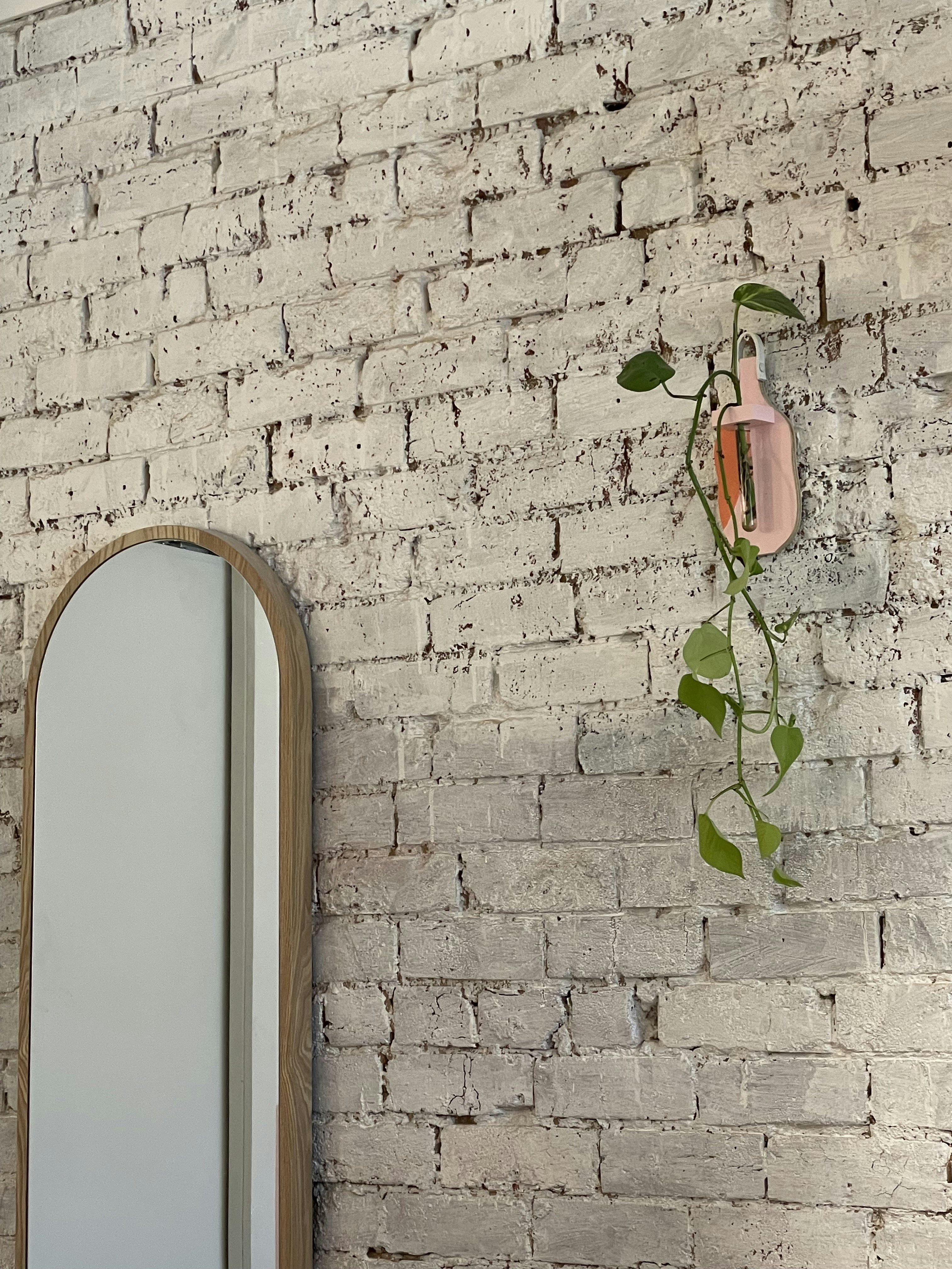 Photo by camwholikestrees