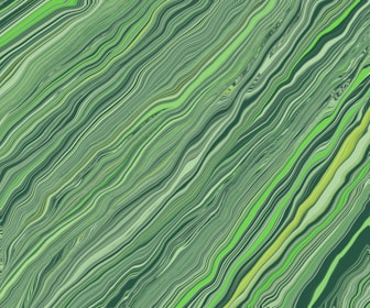 a close up of a leaf