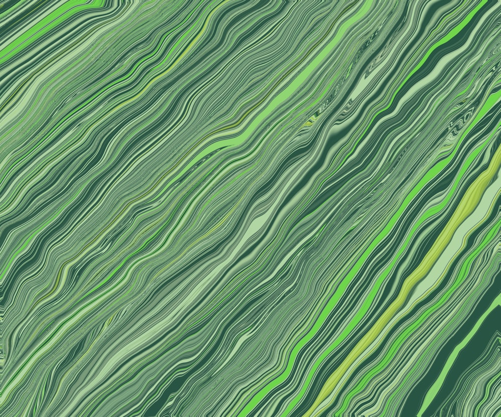 a close up of a leaf