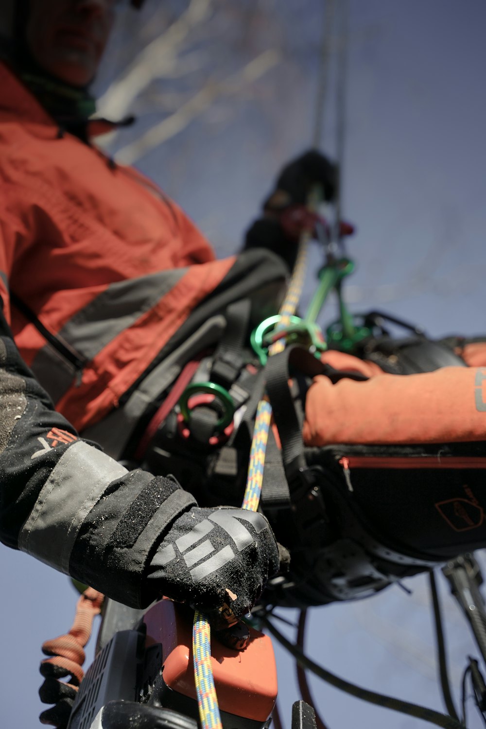 Climbing rope and rigging gear on a professional arborist