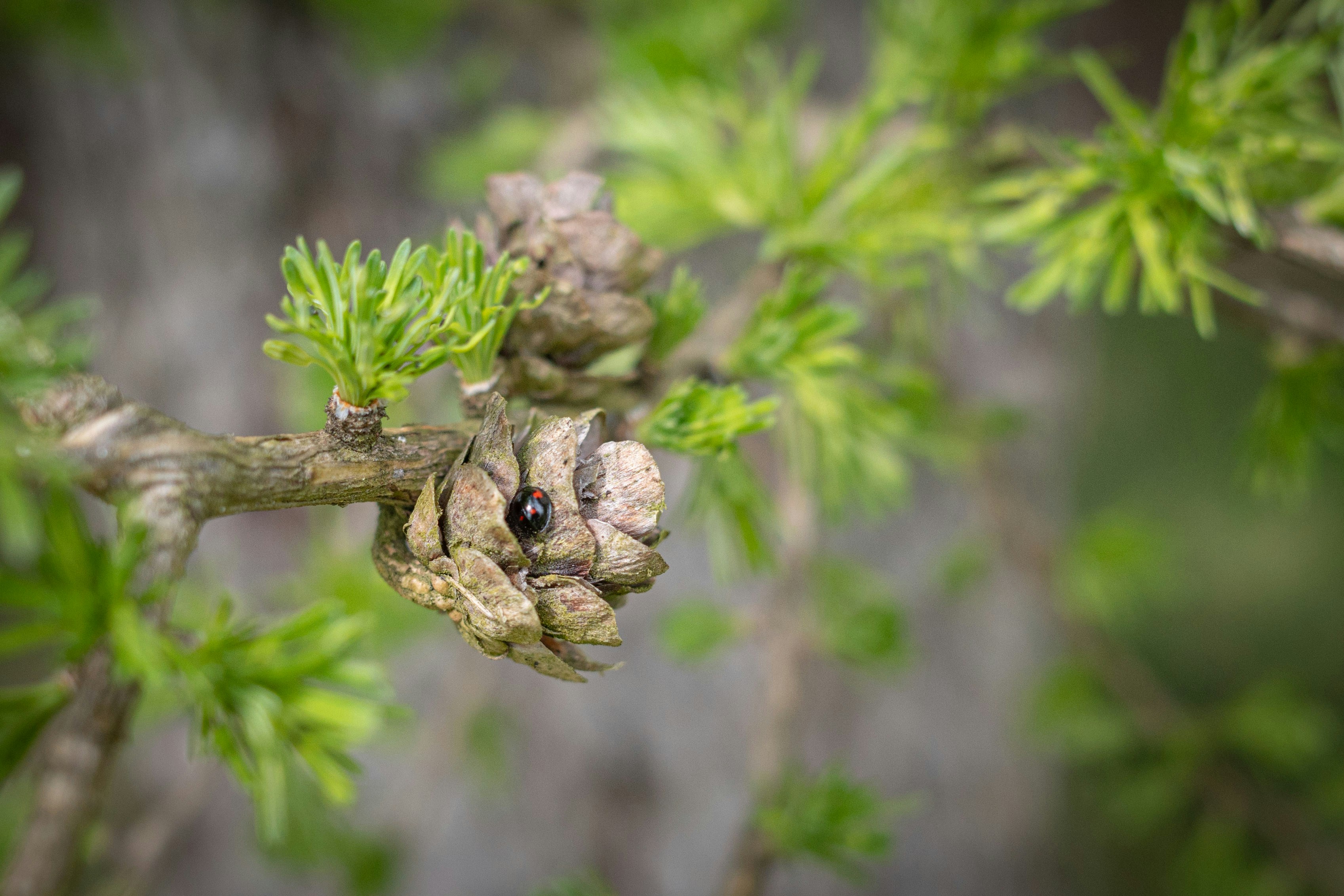 Photo by josefstepanek