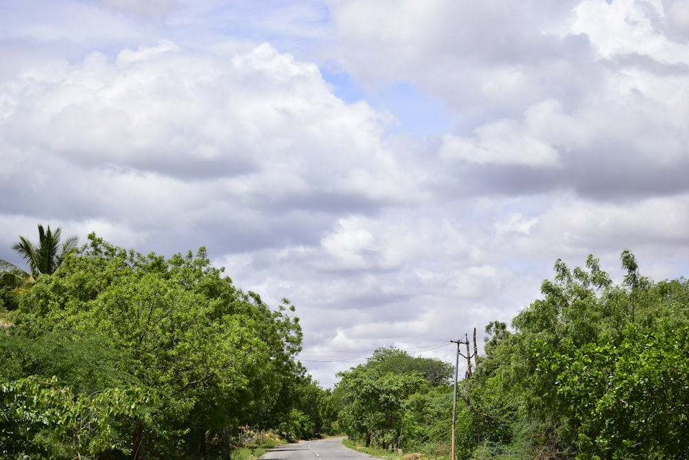 a road with trees on the side