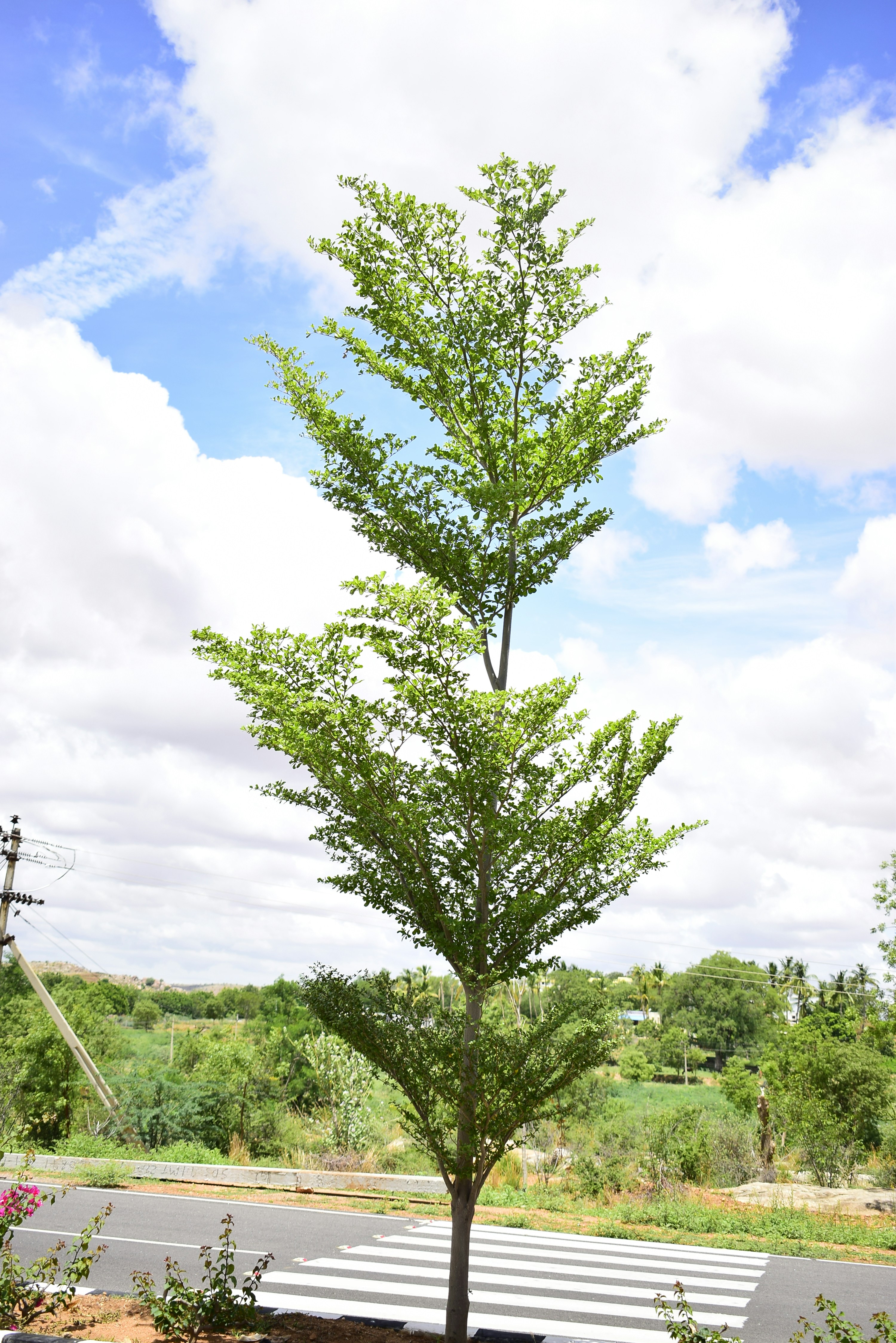 abstract scenery wallpaper 4k, wallpaper, Digital Marketing Strategy: A Comprehensive Guide 1