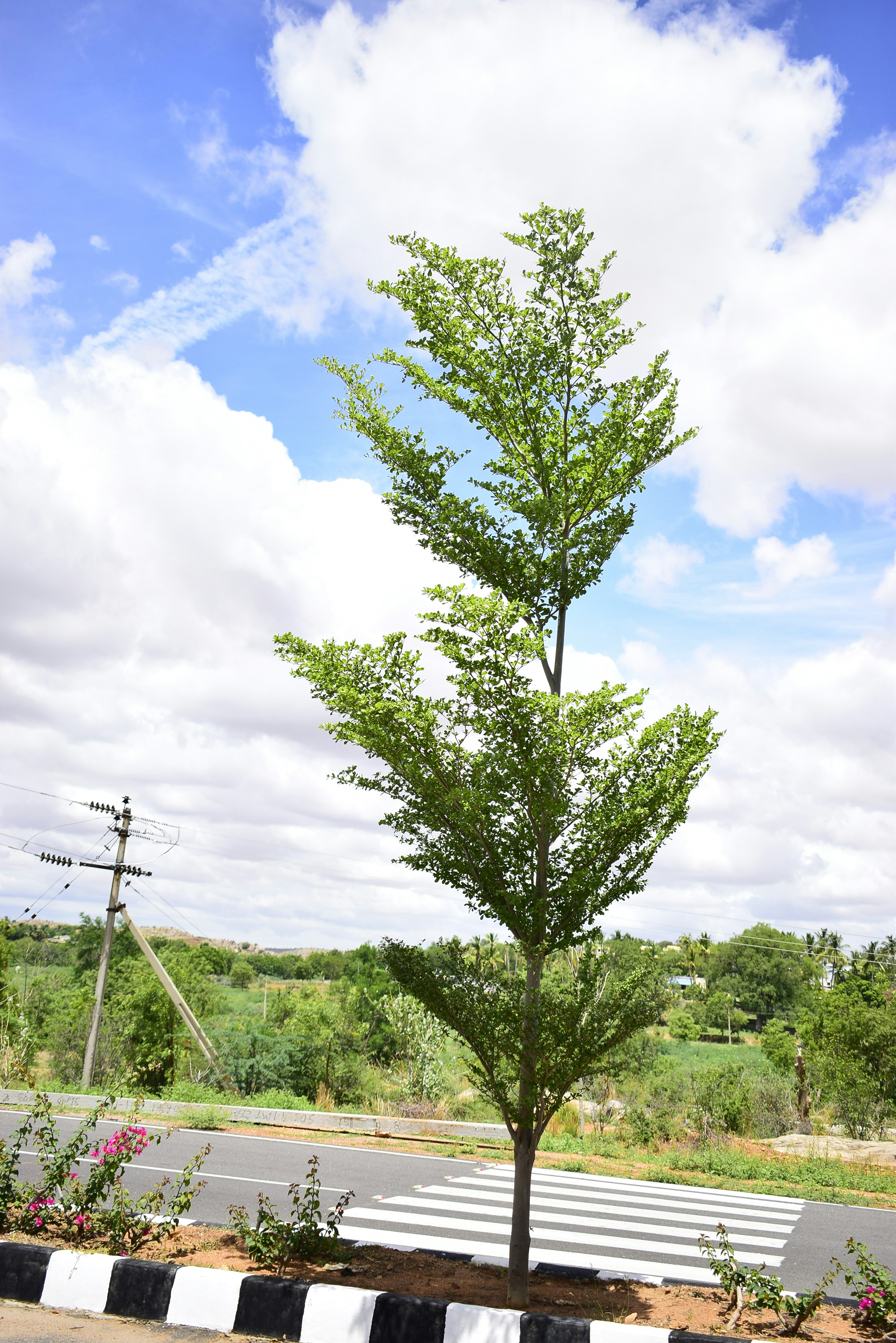 abstract scenery wallpaper 4k, wallpaper, Digital Marketing Strategy: A Comprehensive Guide 2