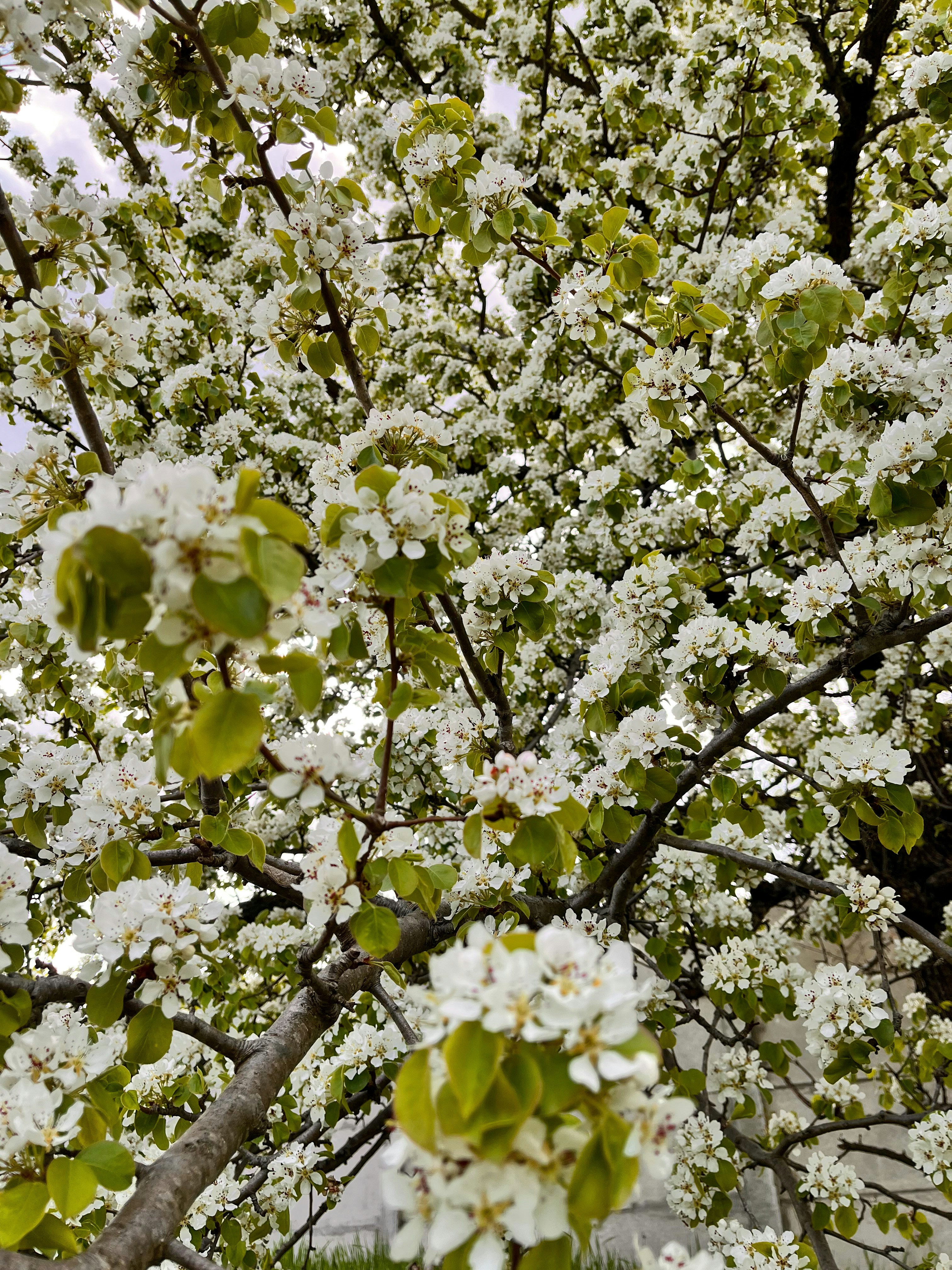 Photo by travelertraveler_