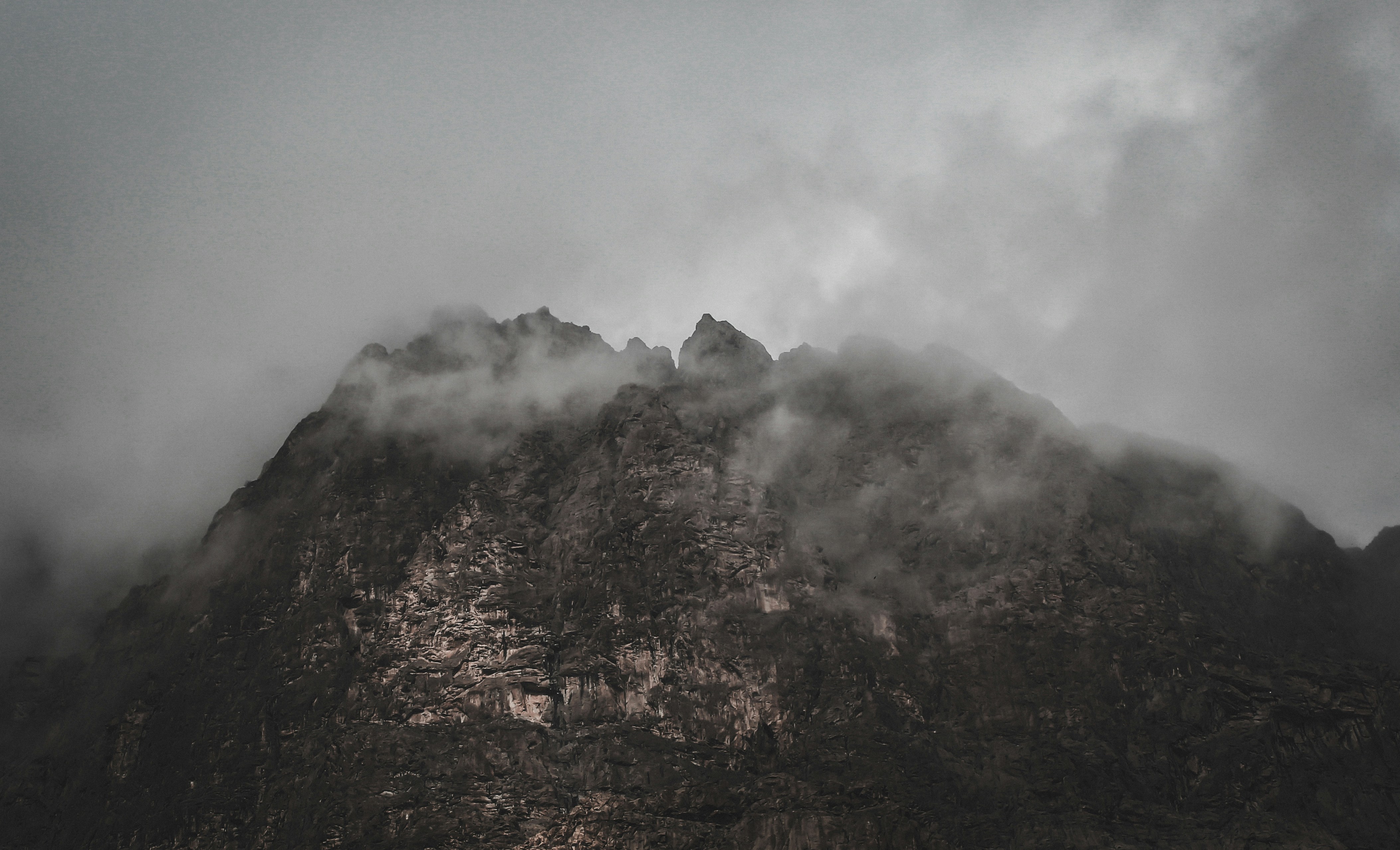 a foggy mountain with trees