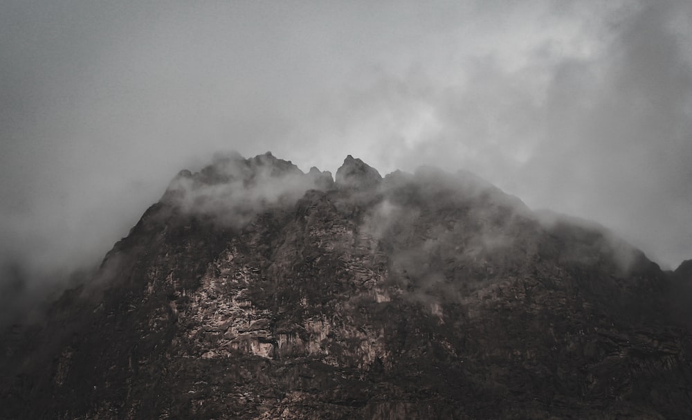 a foggy mountain with trees