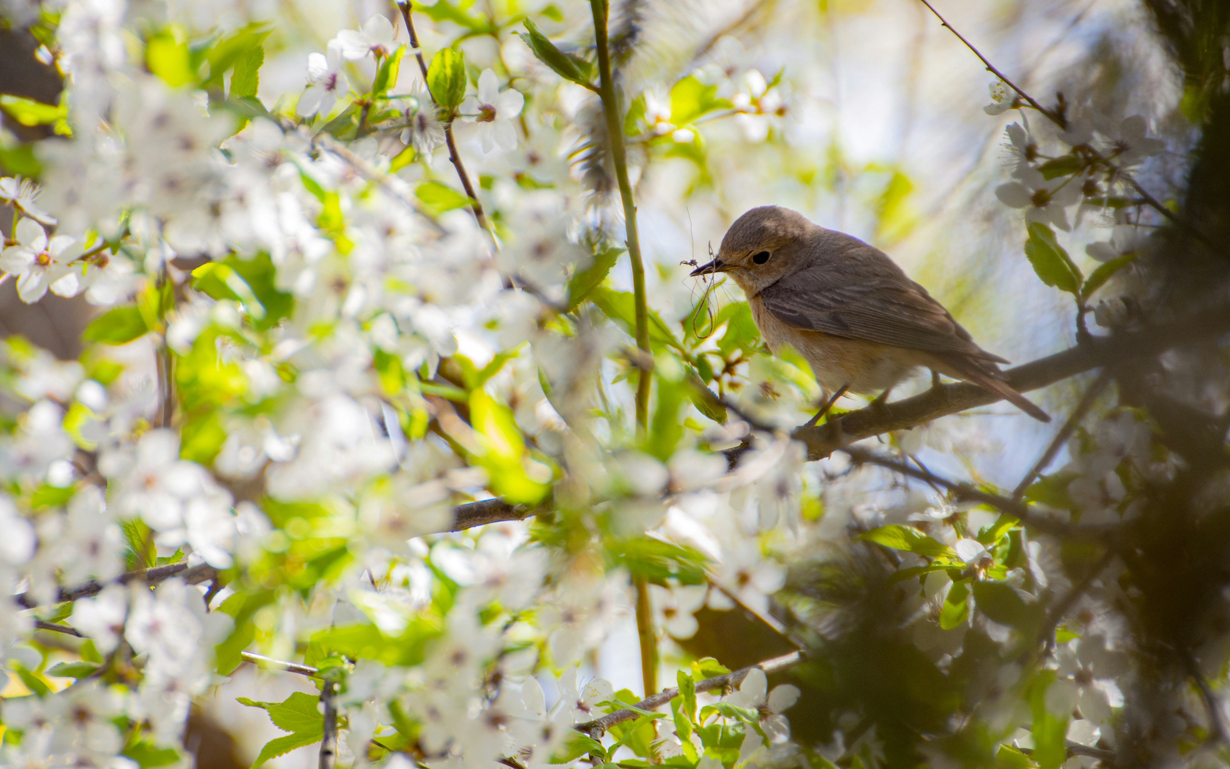 Photo by tu_kwiatkowski