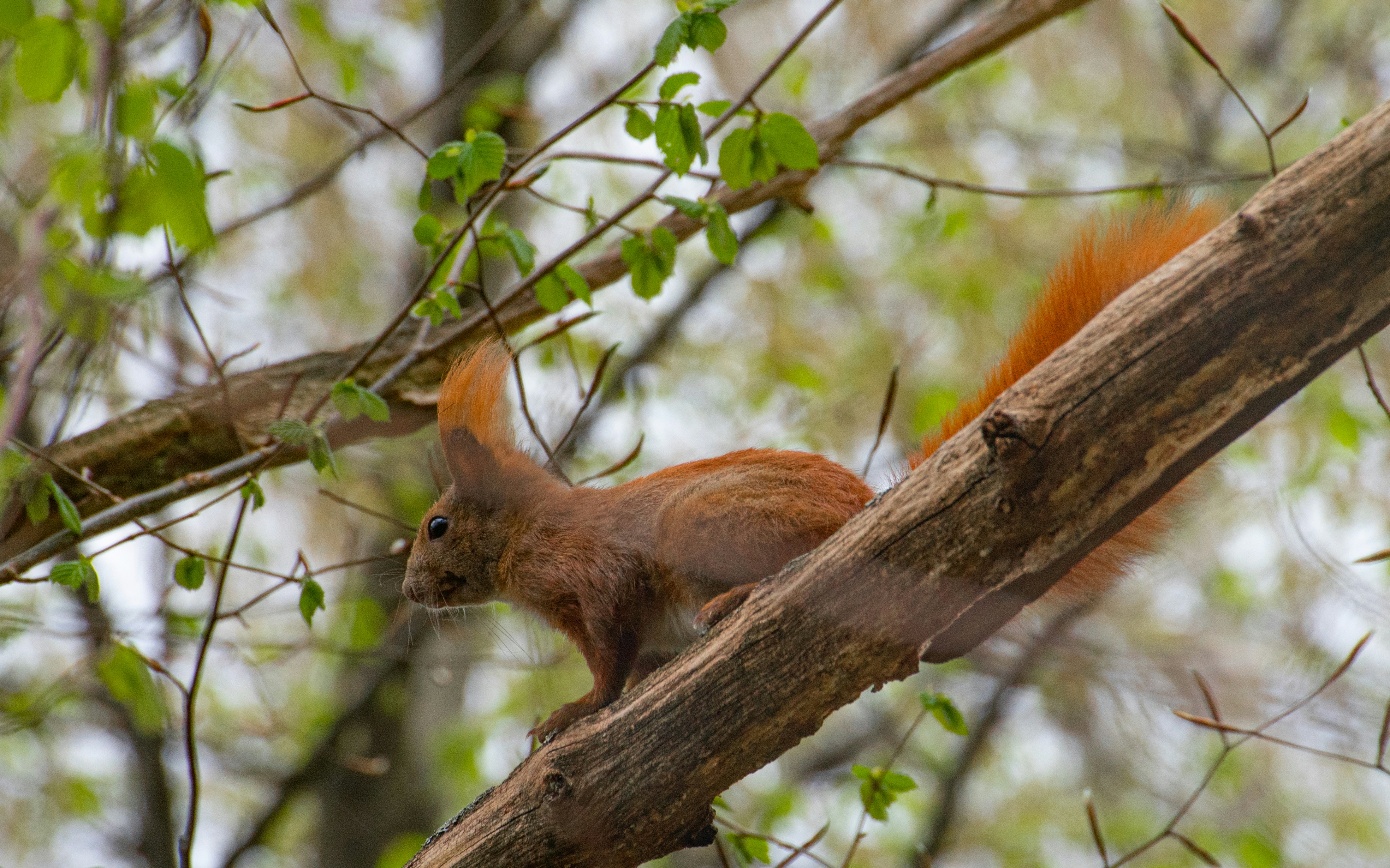 Photo by tu_kwiatkowski