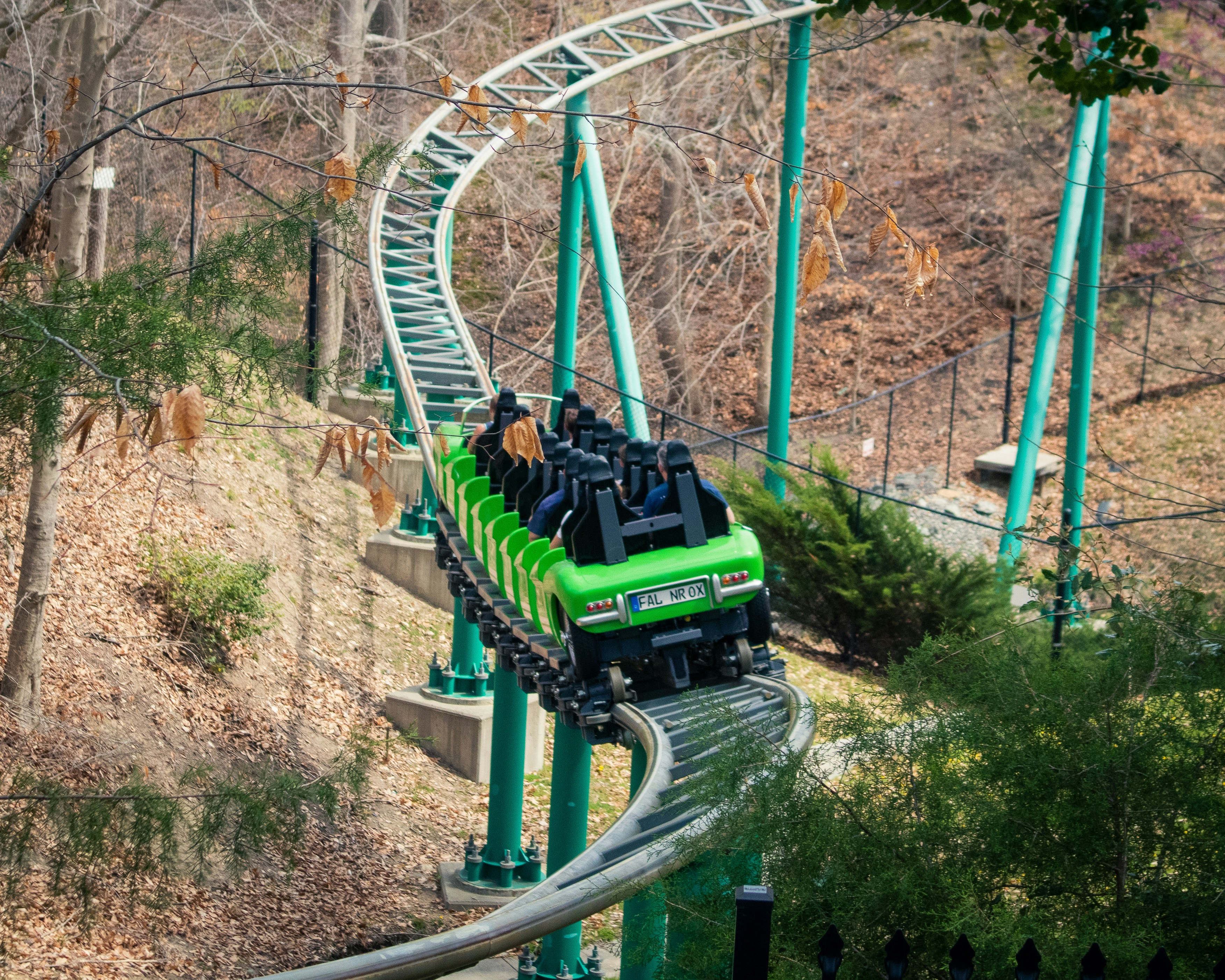 Trivia nights in Williamsburg, United States