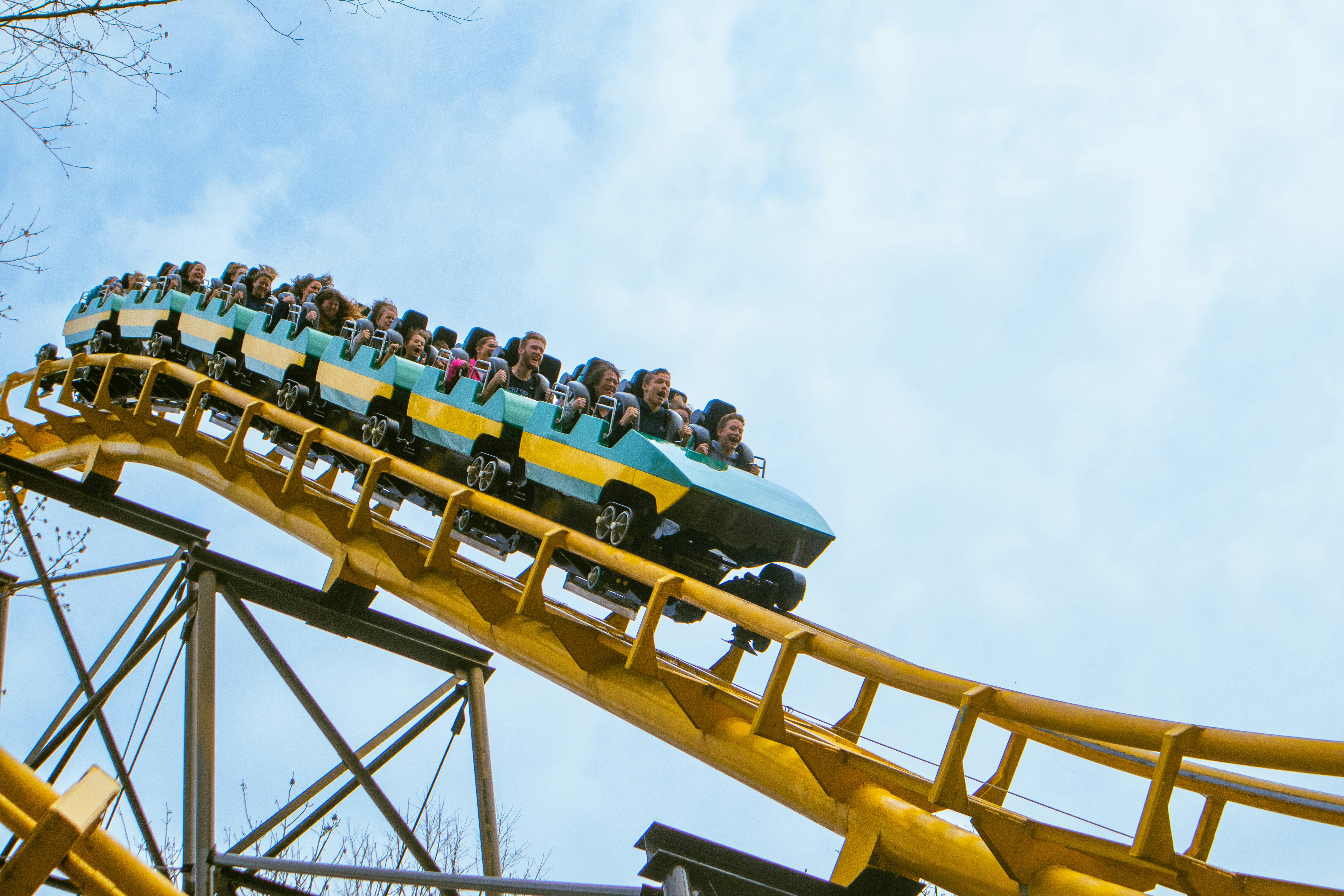 The Virginia Beer Company