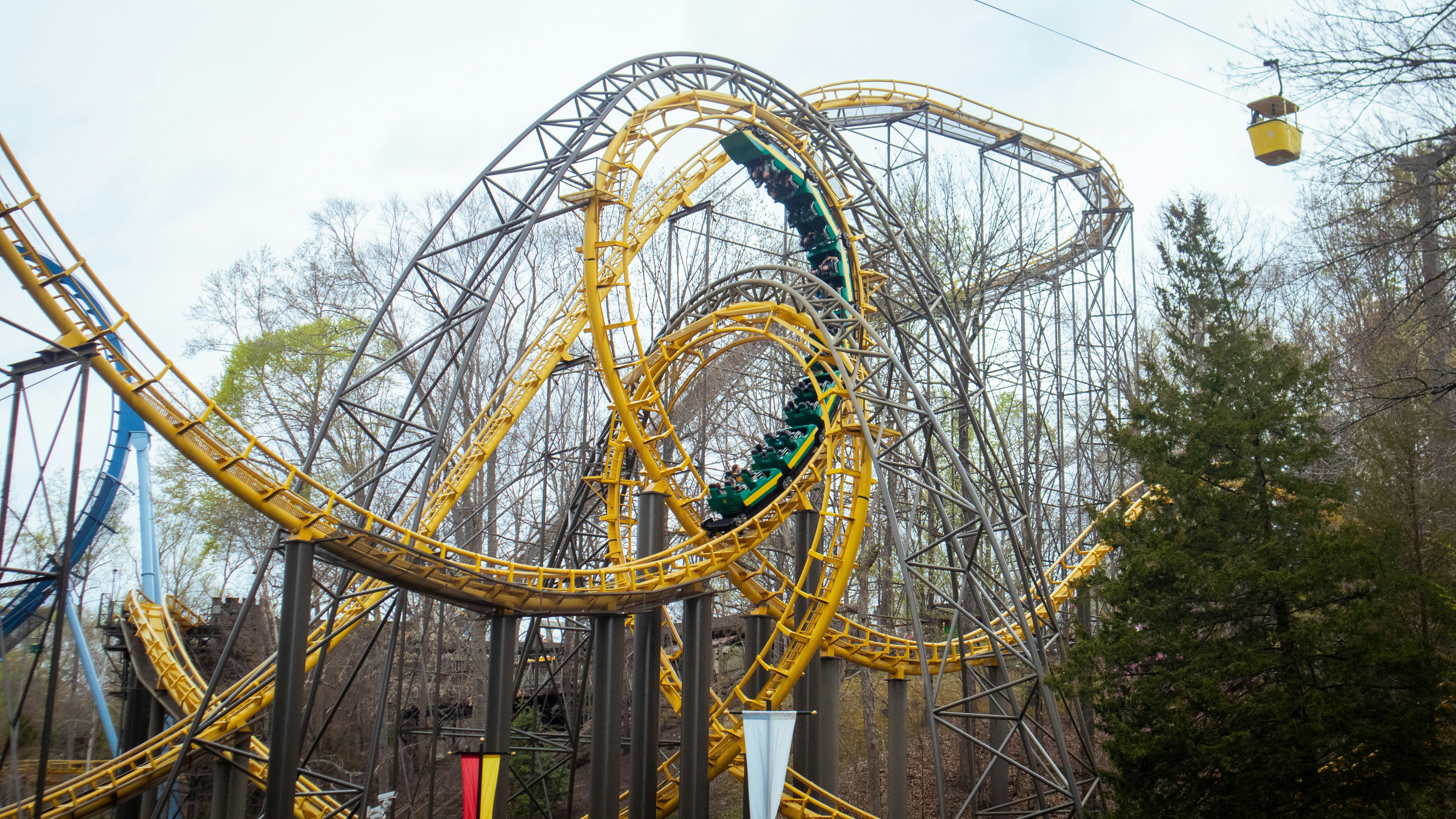 Trivia nights in Williamsburg, United States