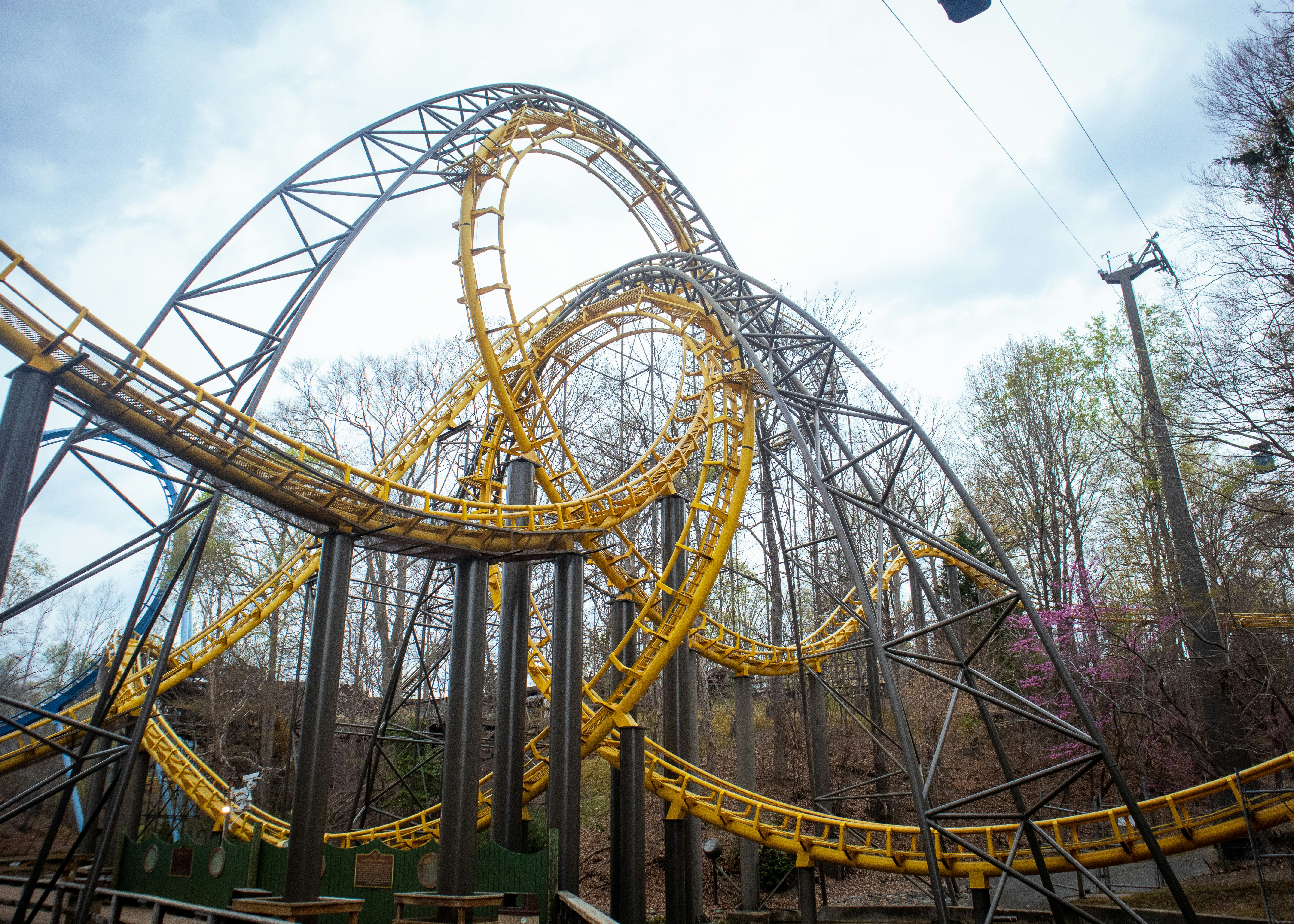 A roller coaster with trees photo – Free Busch gardens williamsburg ...