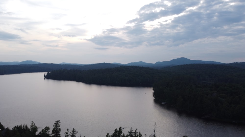 a lake surrounded by trees