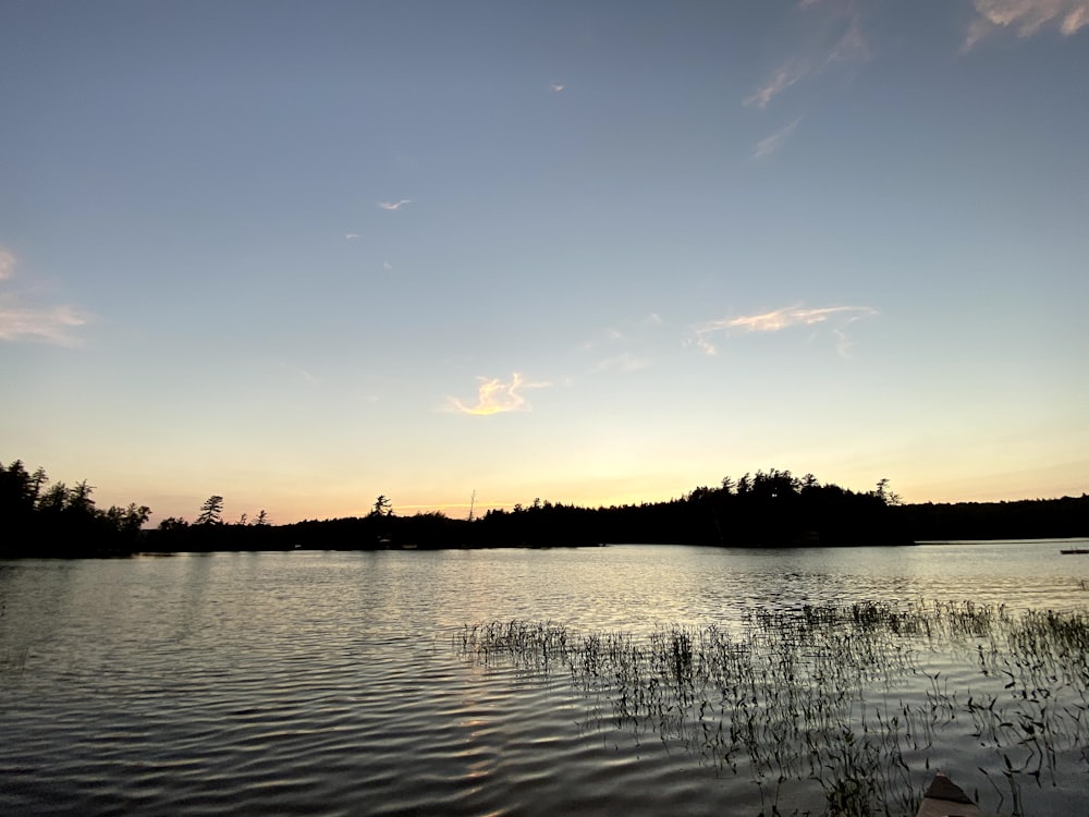 a body of water with trees and a blue sky