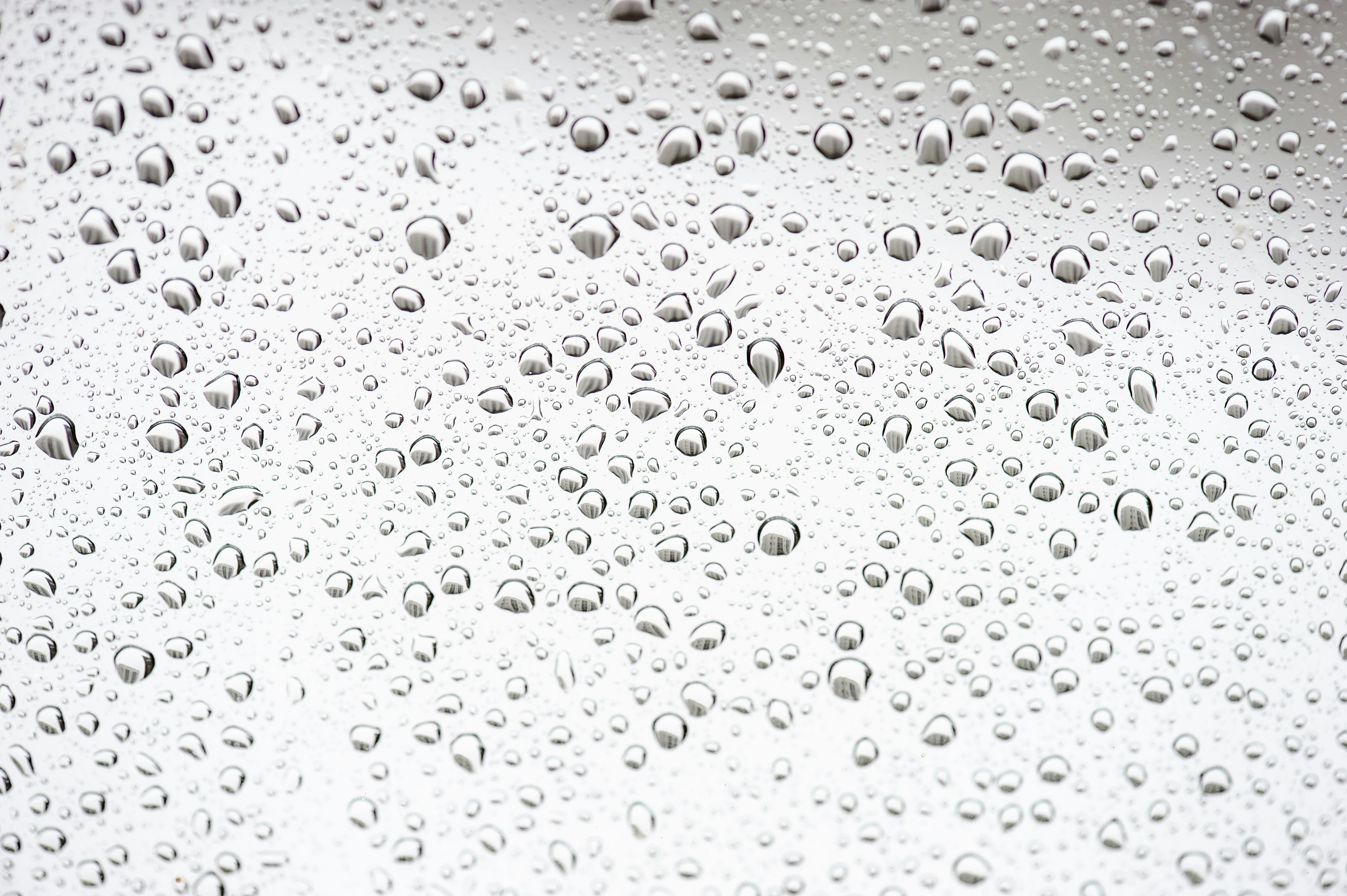 Photo by bruschyography