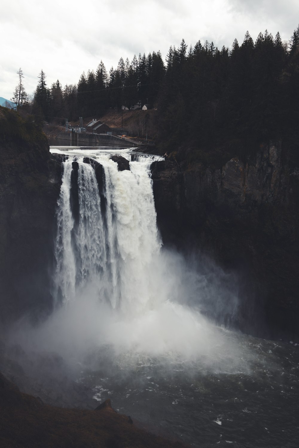 Snoqualmie Falls in a forest