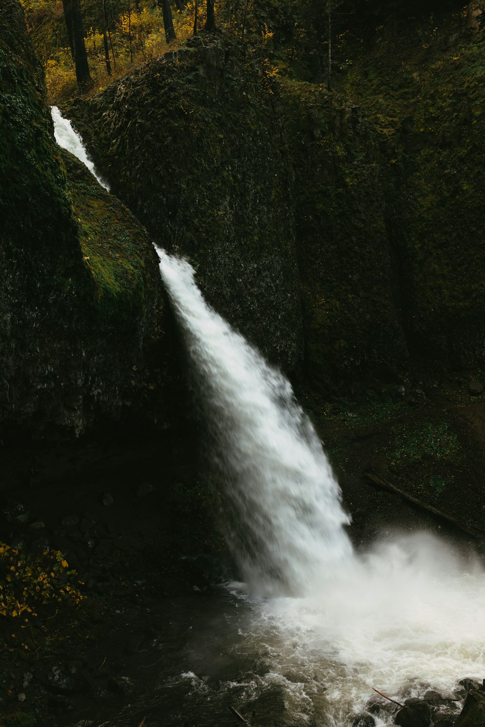 a waterfall in a forest