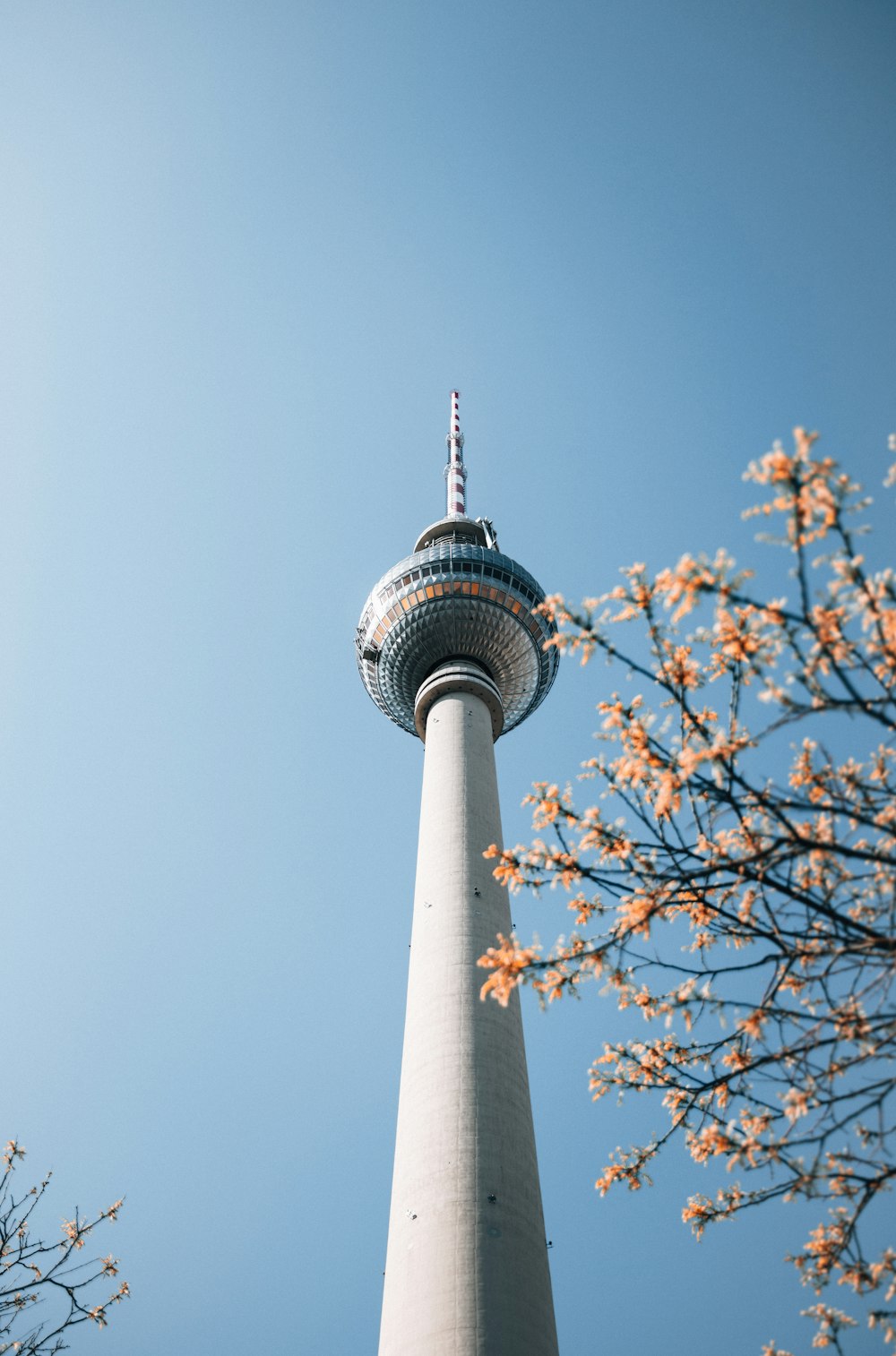 a tall tower with a tree in front of it